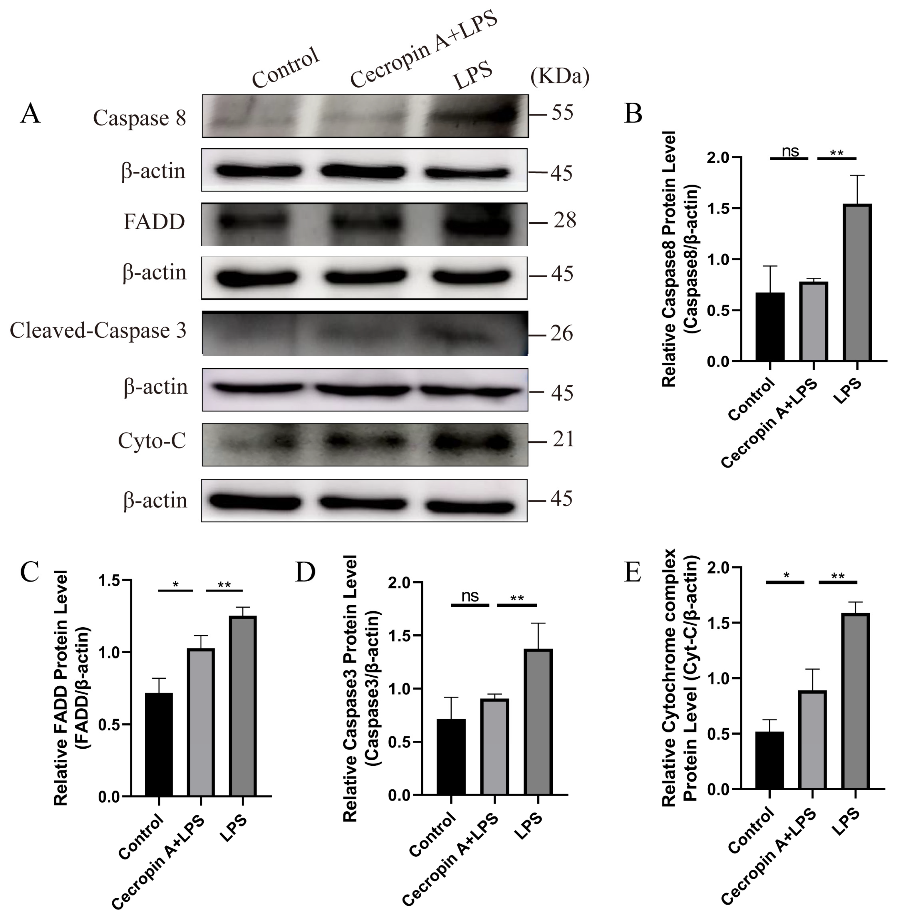 Animals 14 00768 g008 Animals 14 00768 g008