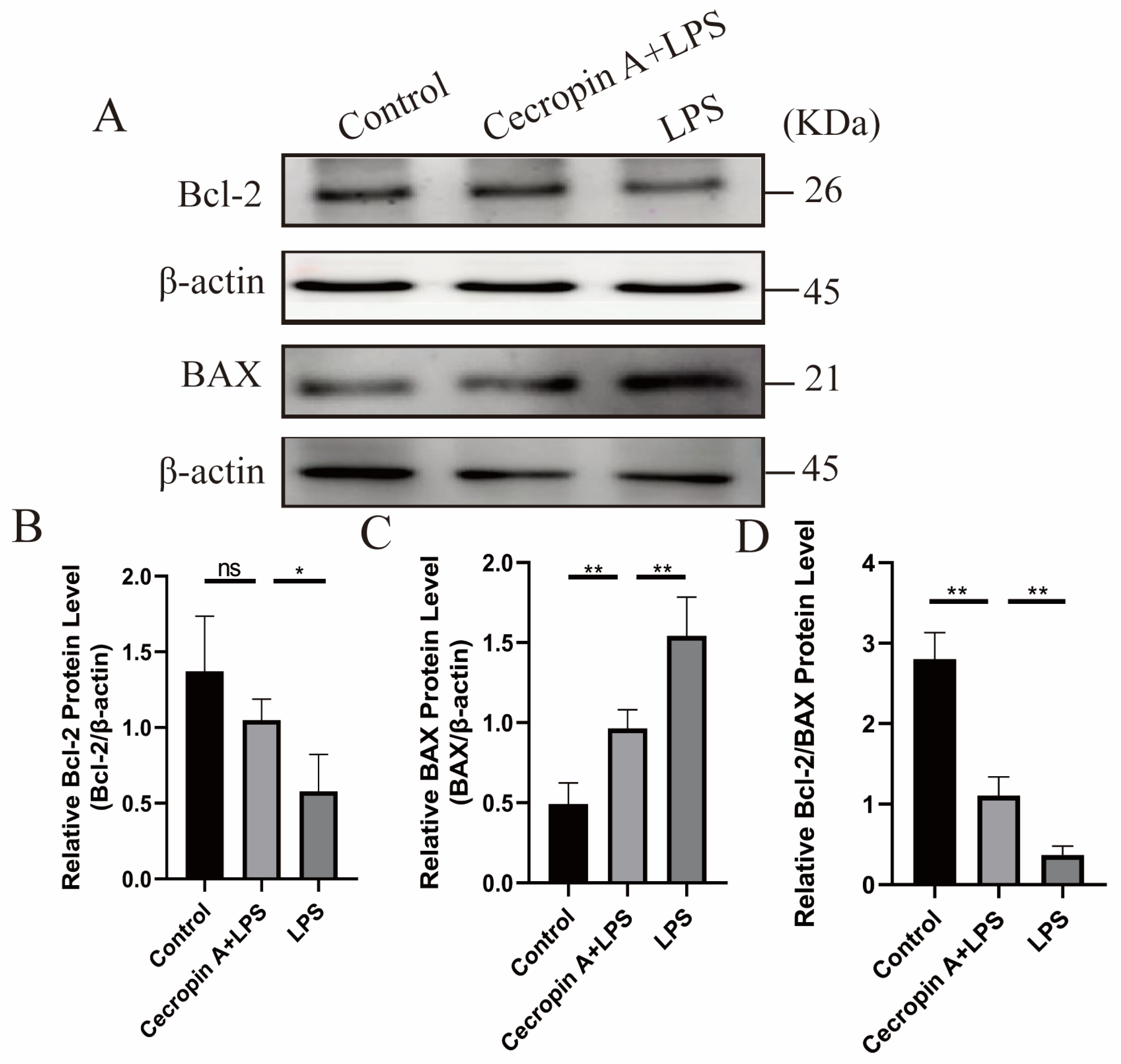 Animals 14 00768 g010 Animals 14 00768 g010
