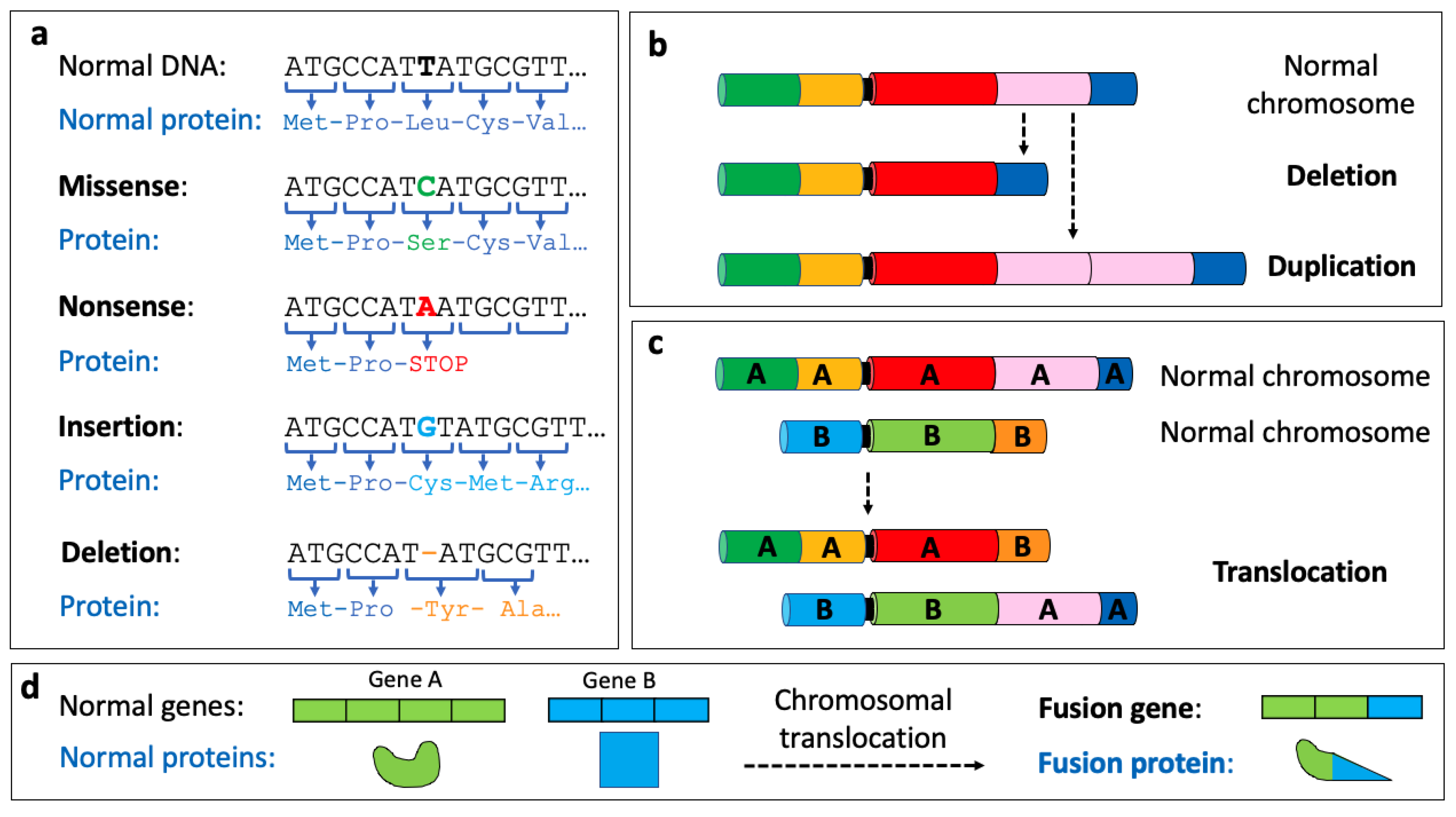 Animals 14 00769 g003