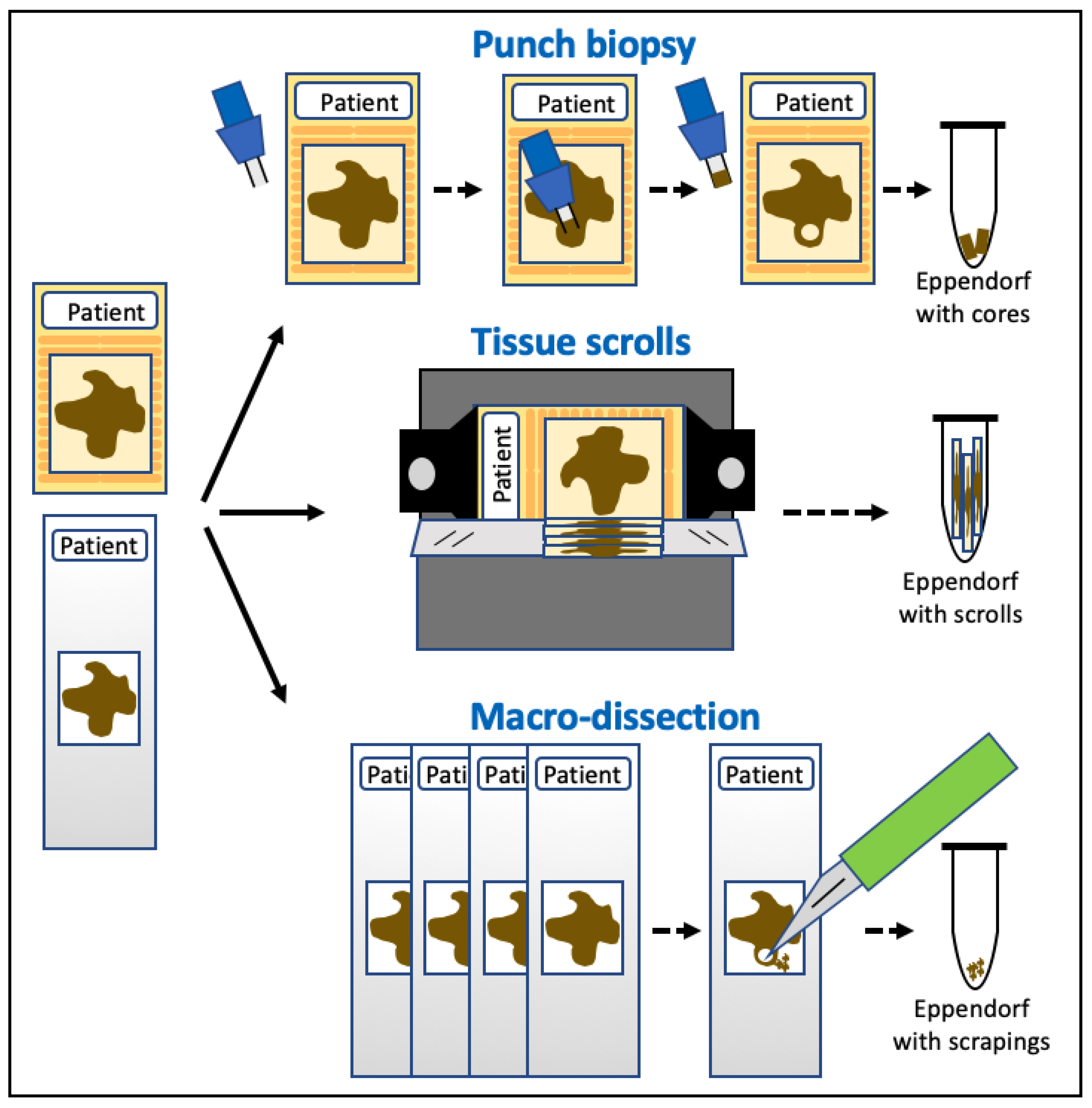 Animals 14 00769 g004