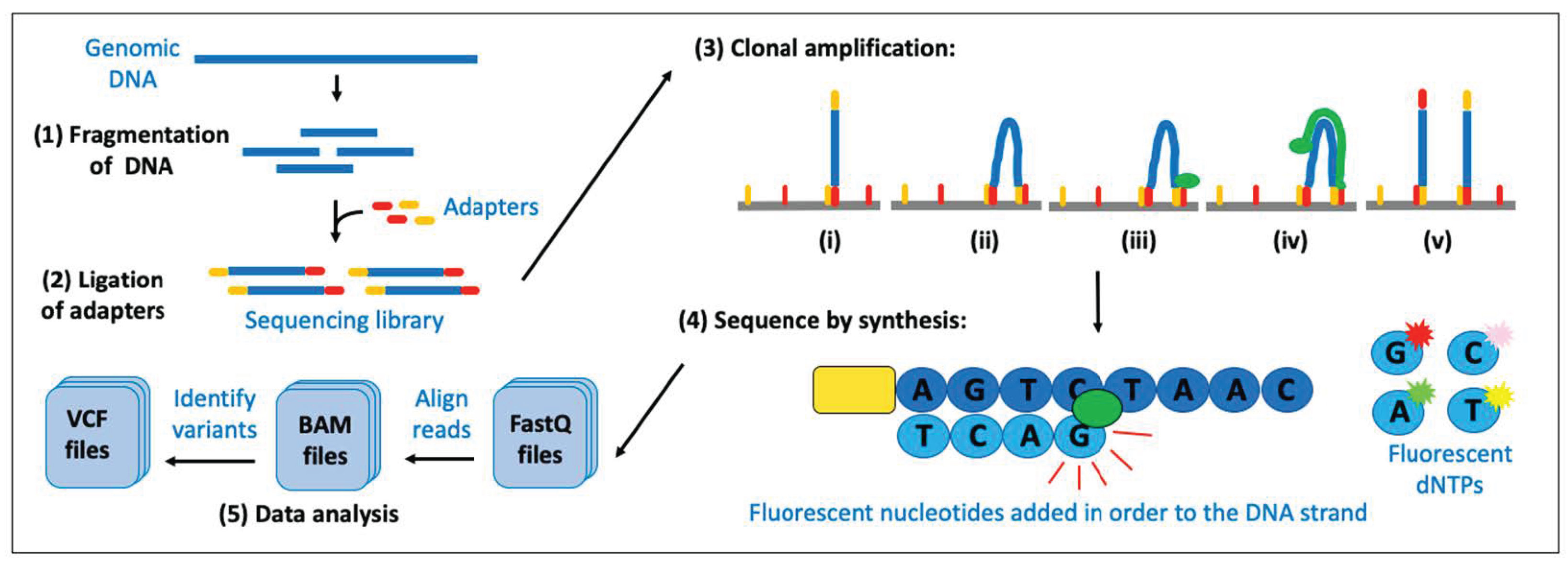 Animals 14 00769 g008
