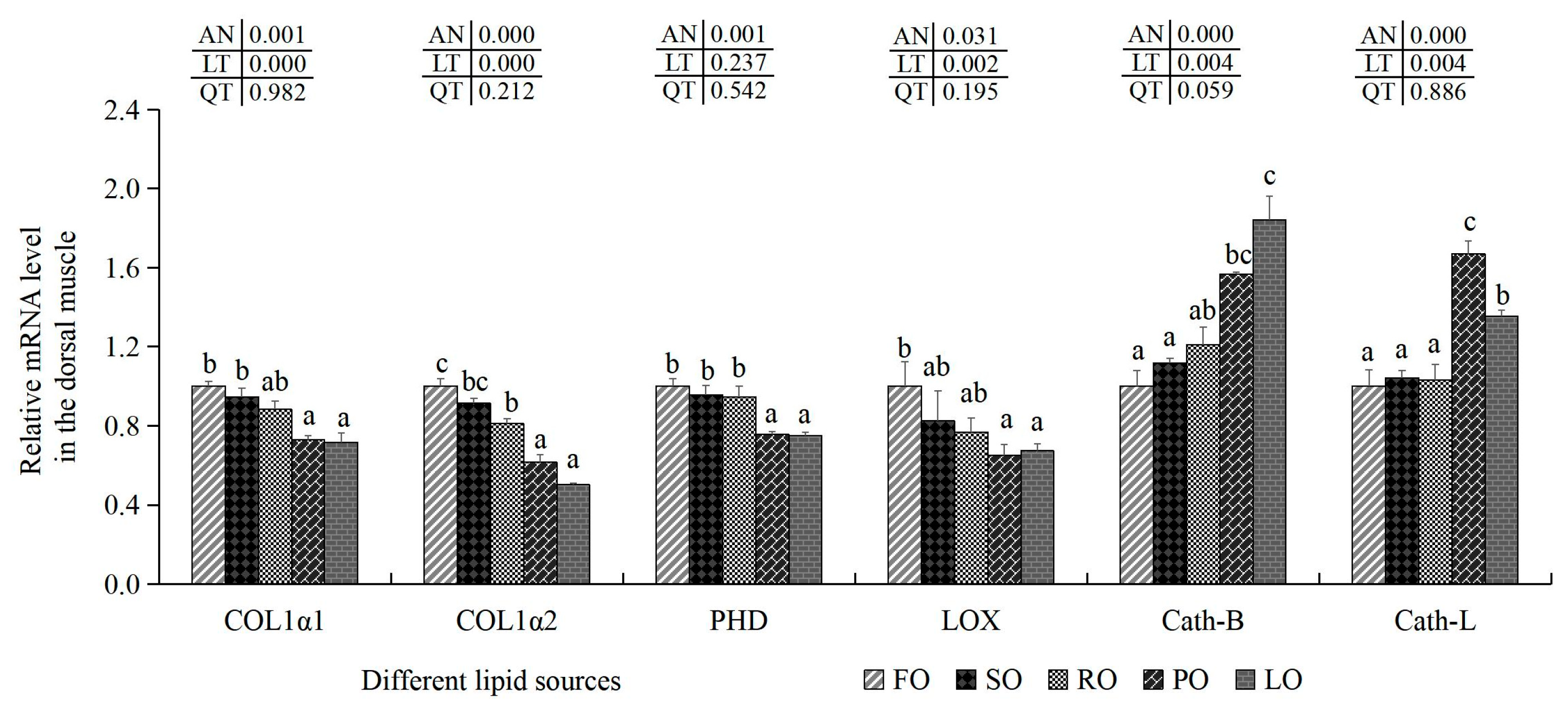 Animals 14 00781 g004