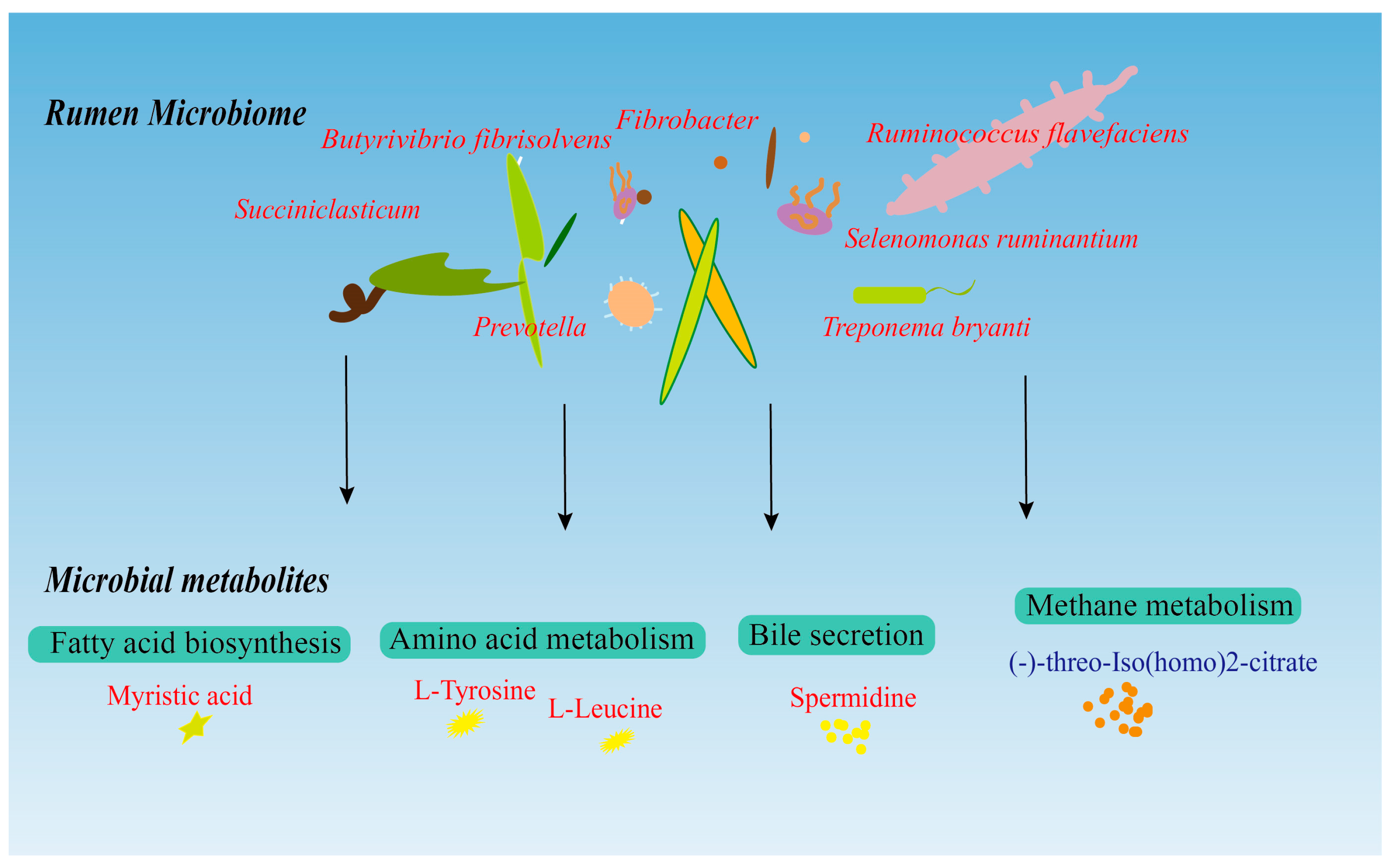 Animals 14 00788 g007