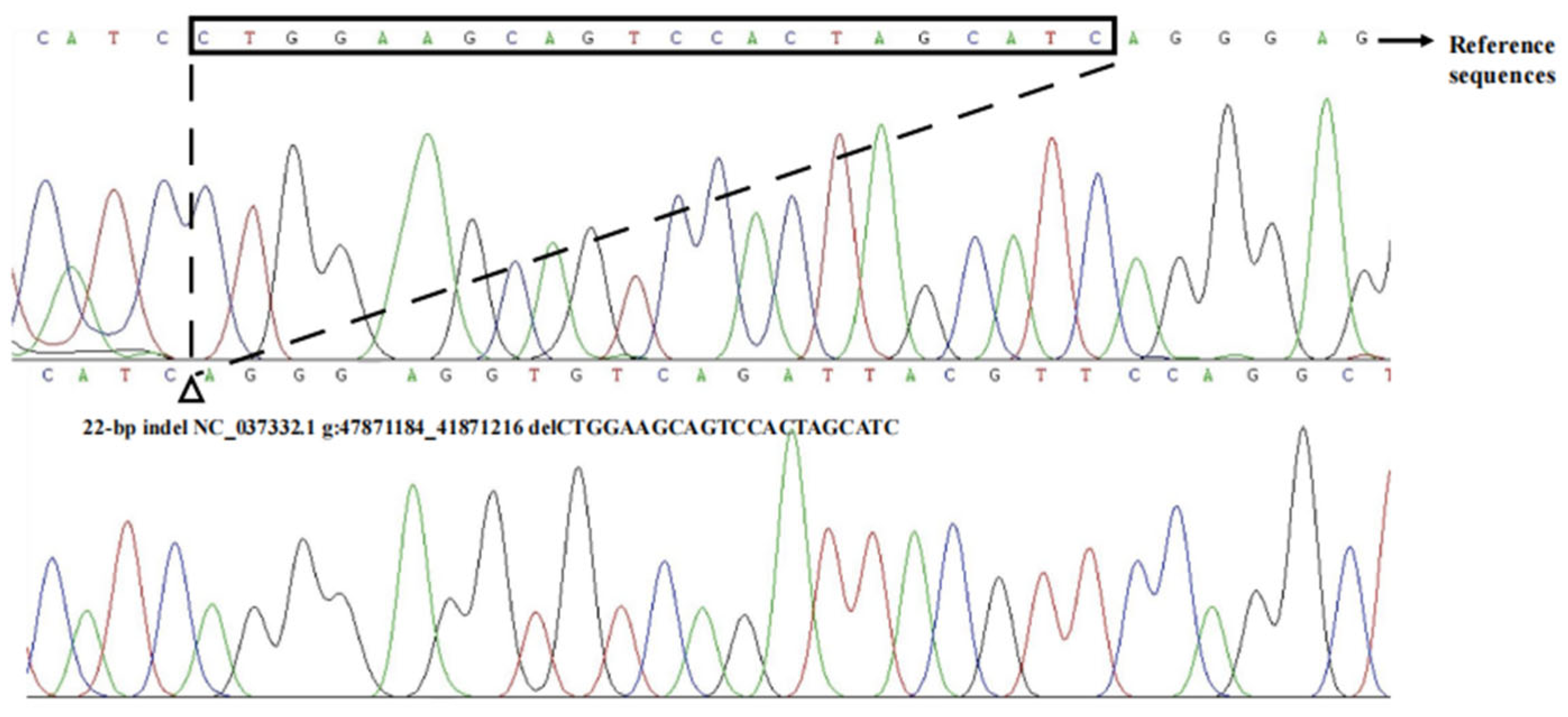 Animals 14 00796 g003 Animals 14 00796 g003