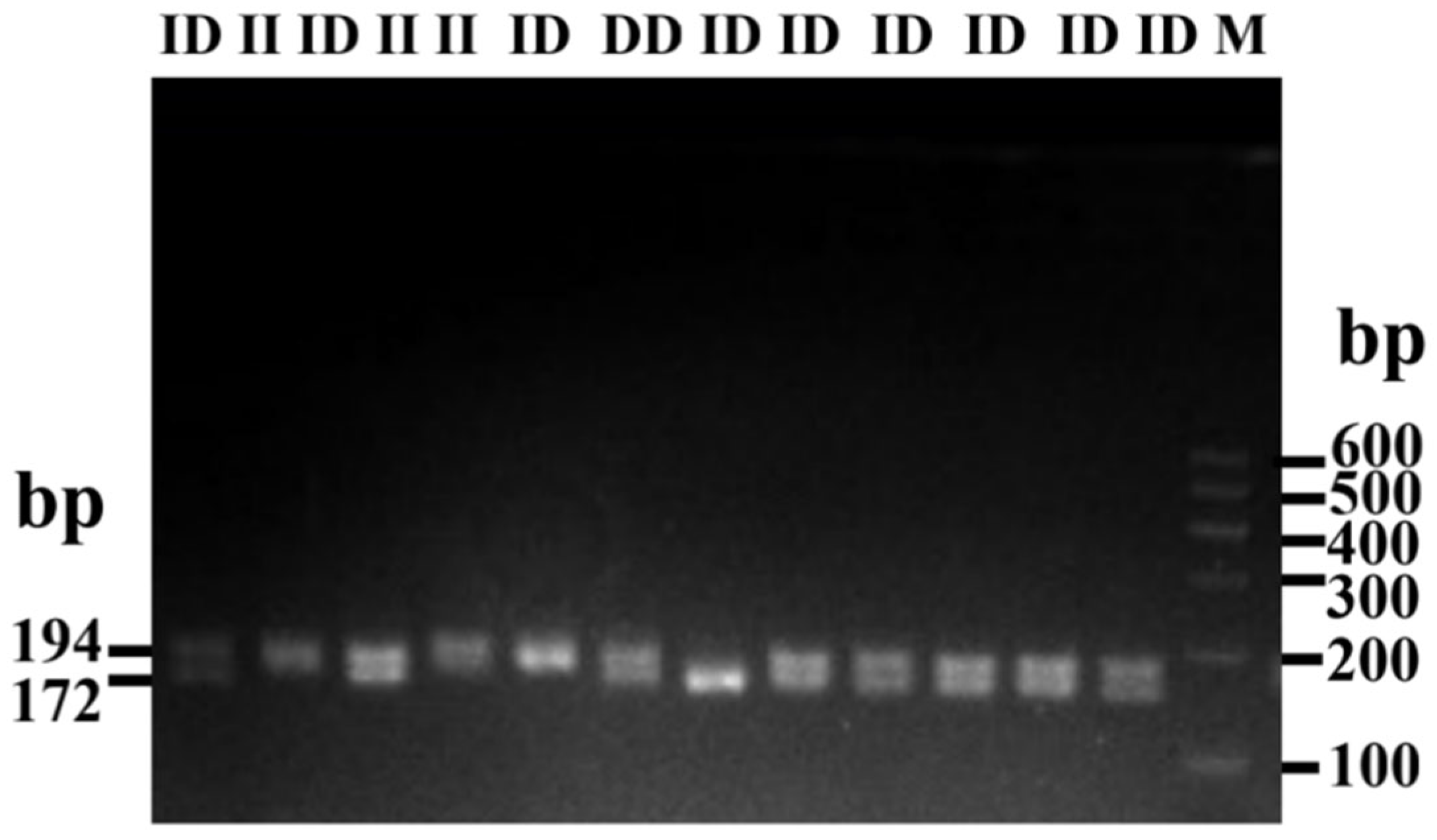 Animals 14 00796 g004 Animals 14 00796 g004