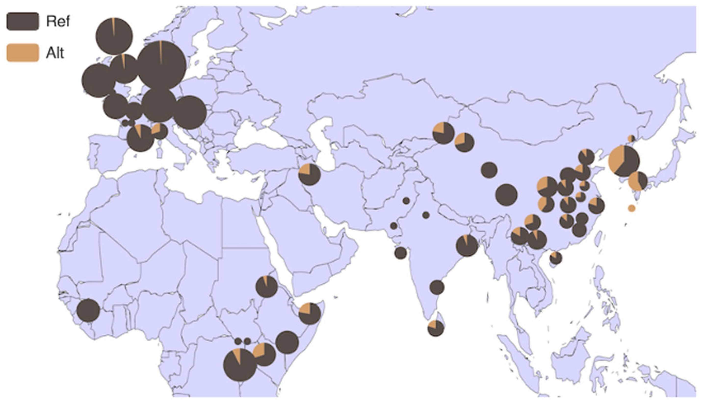 Animals 14 00796 g005 Animals 14 00796 g005