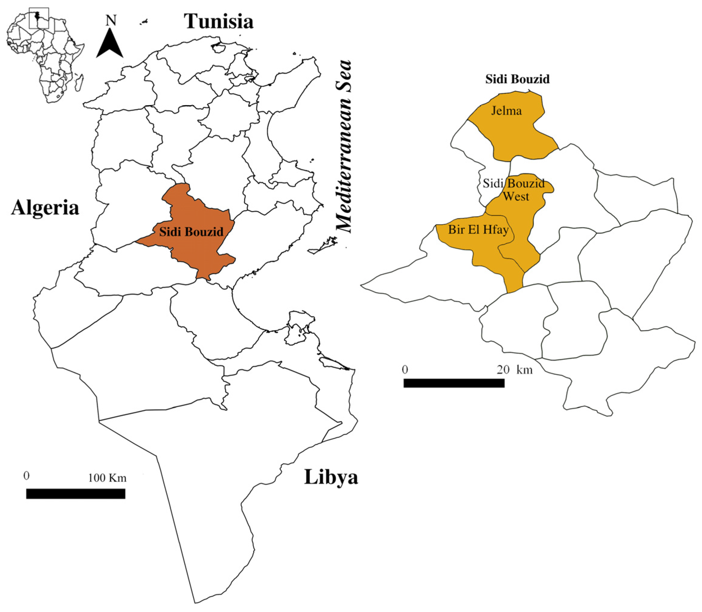 Animals 14 00801 g001 Animals 14 00801 g001