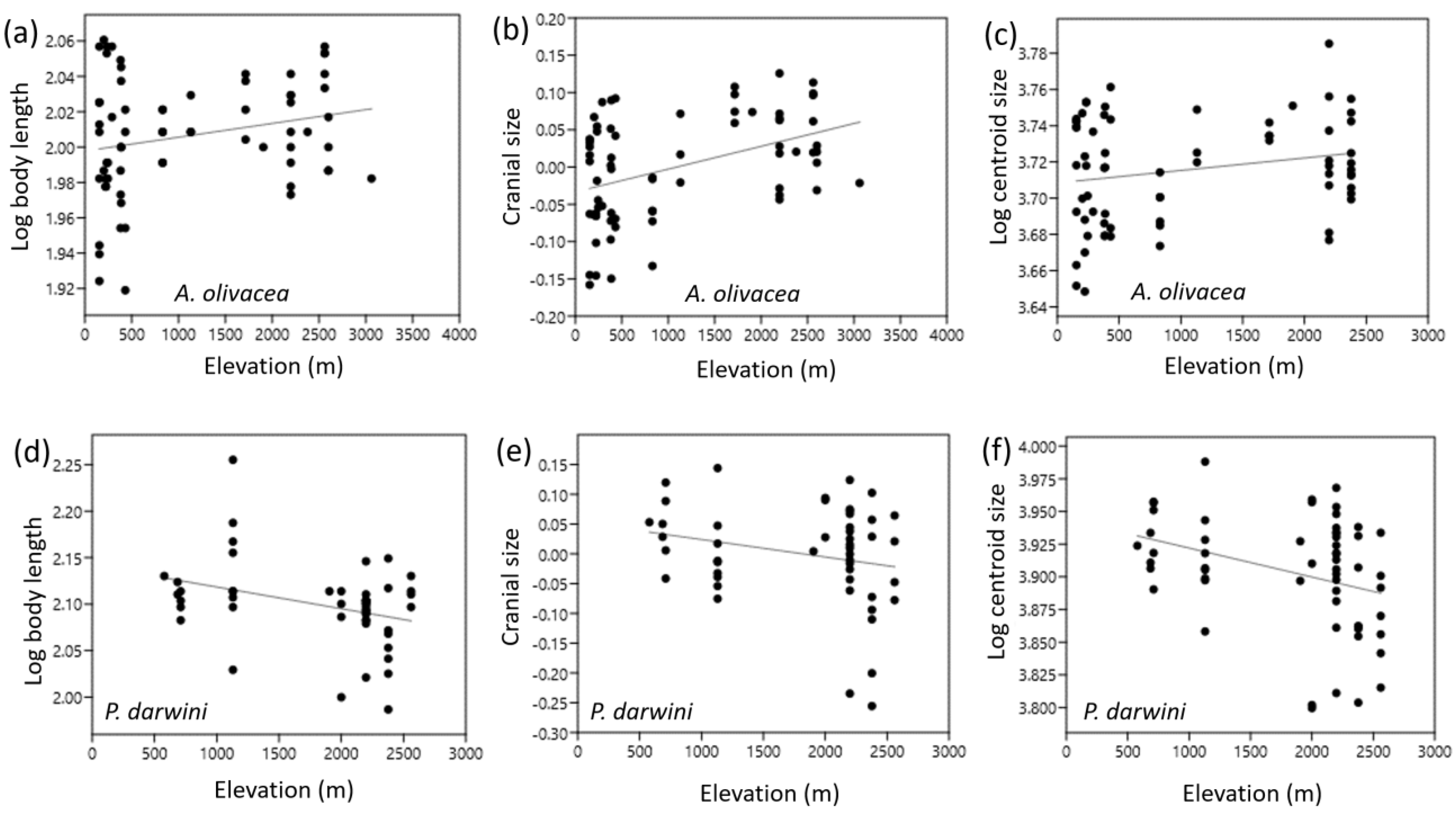Animals 14 00830 g003
