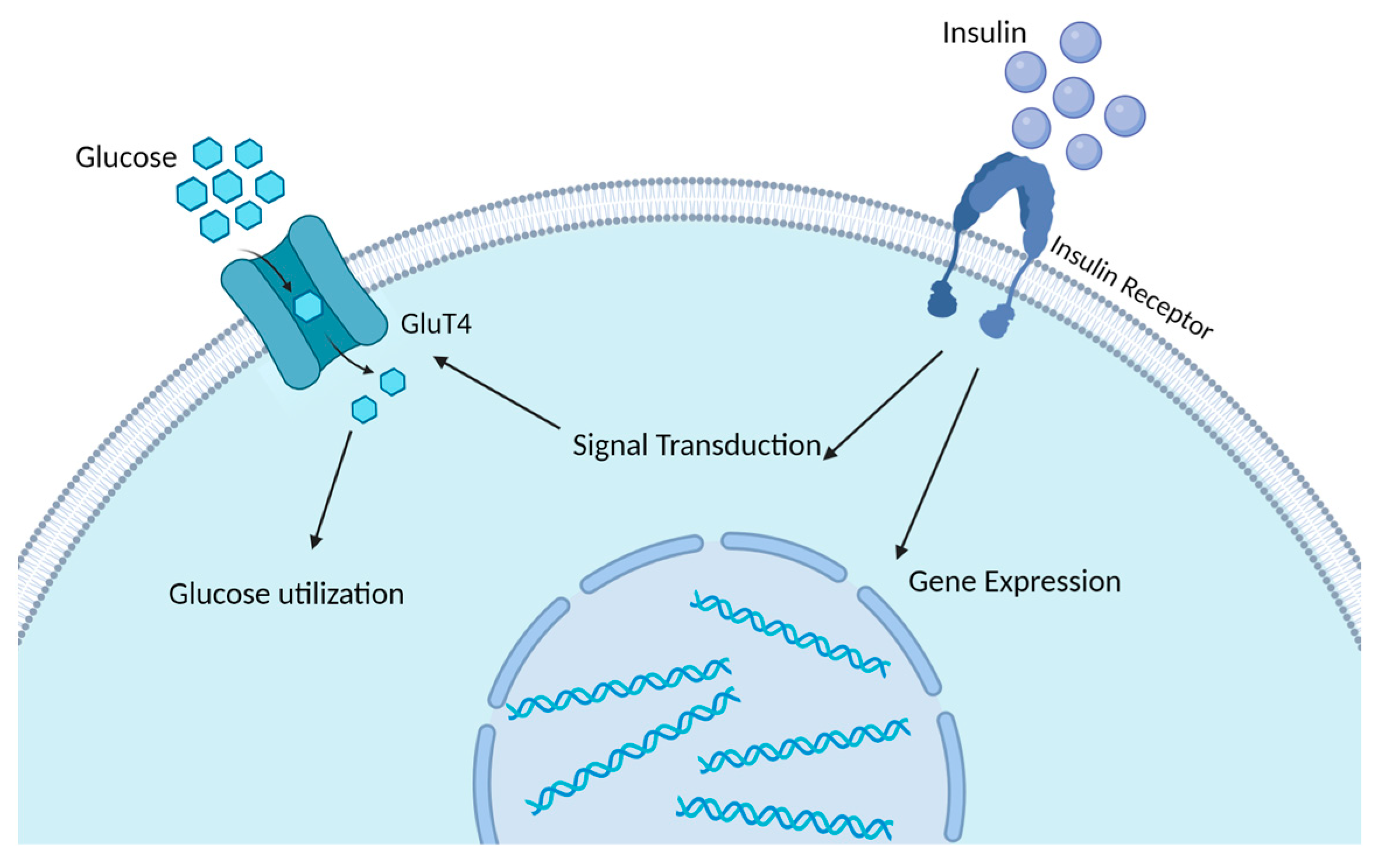 Animals 14 00832 g002 Animals 14 00832 g002