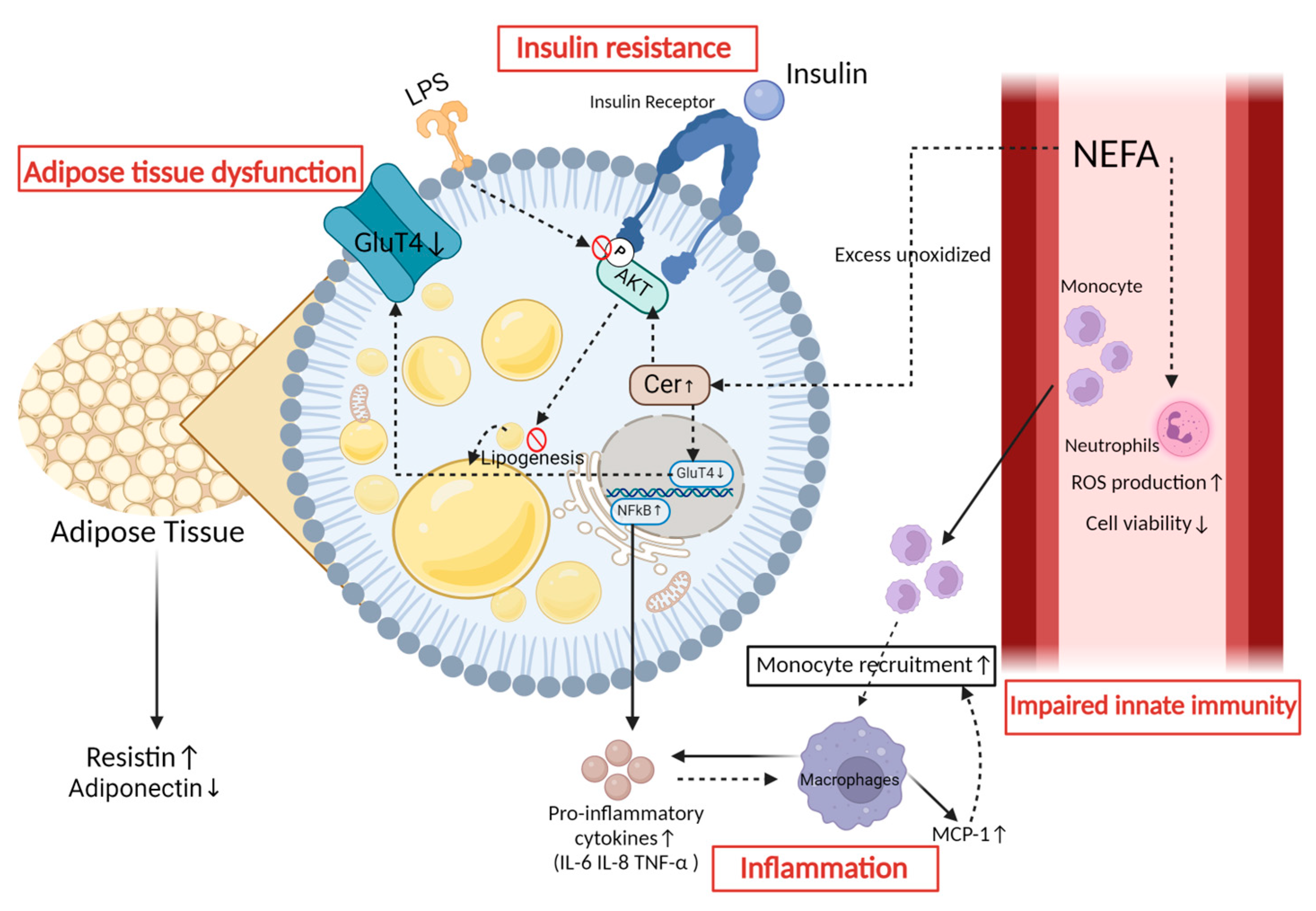 Animals 14 00832 g003 Animals 14 00832 g003