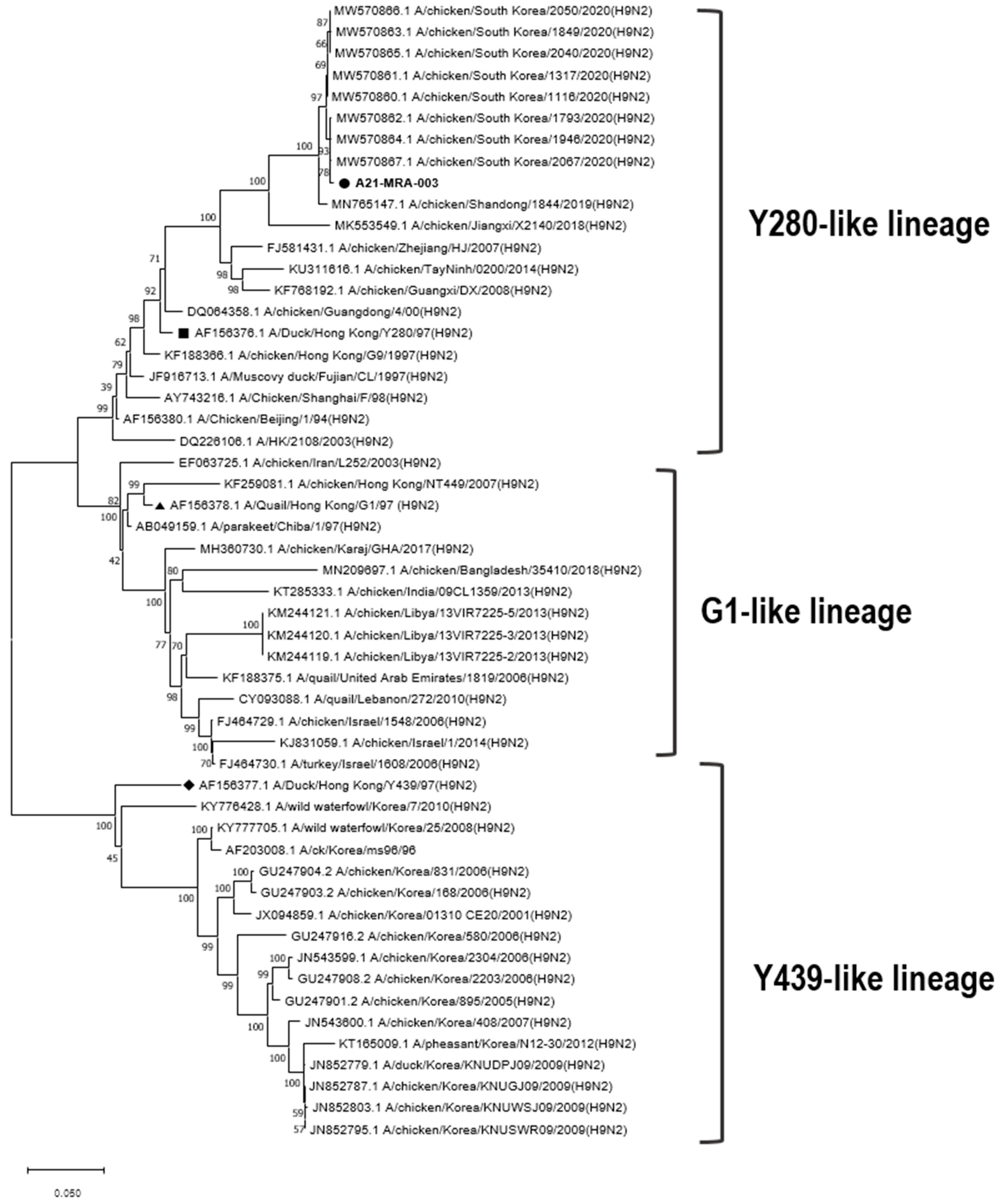 Animals 14 00872 g001