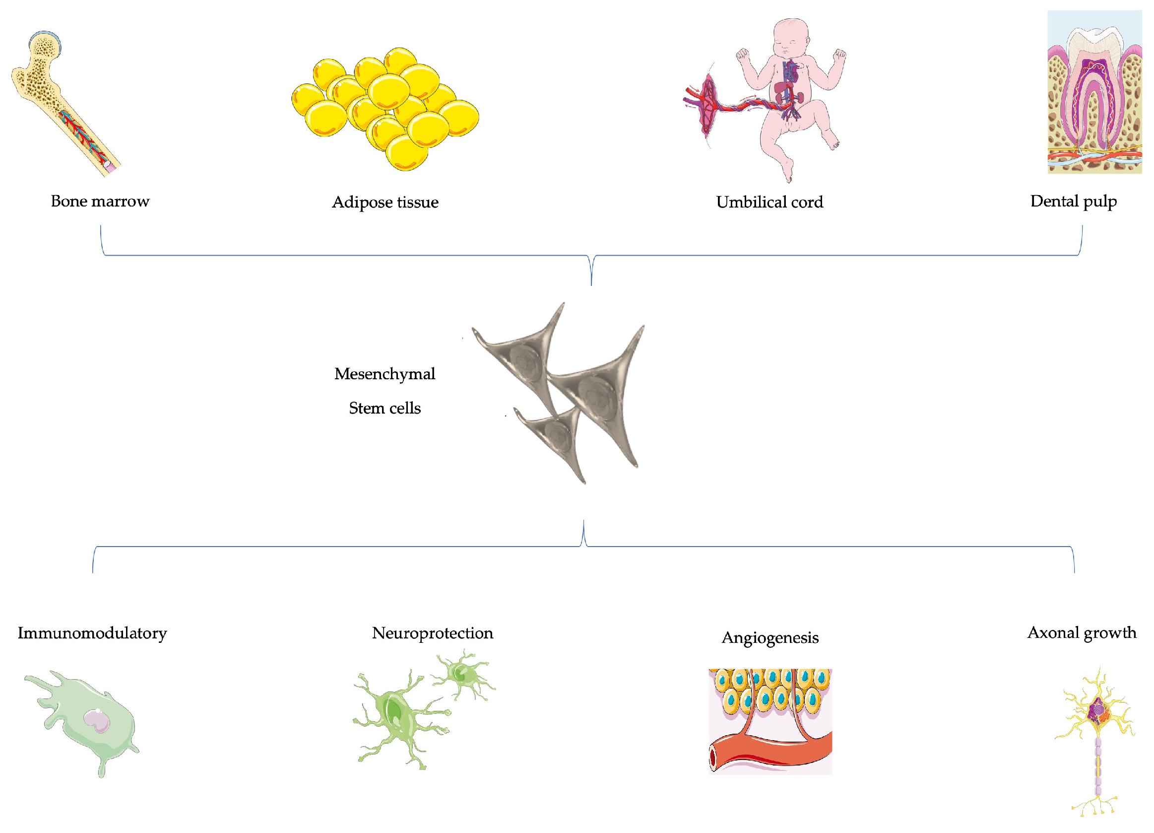 Animals 14 00884 g006 Animals 14 00884 g006