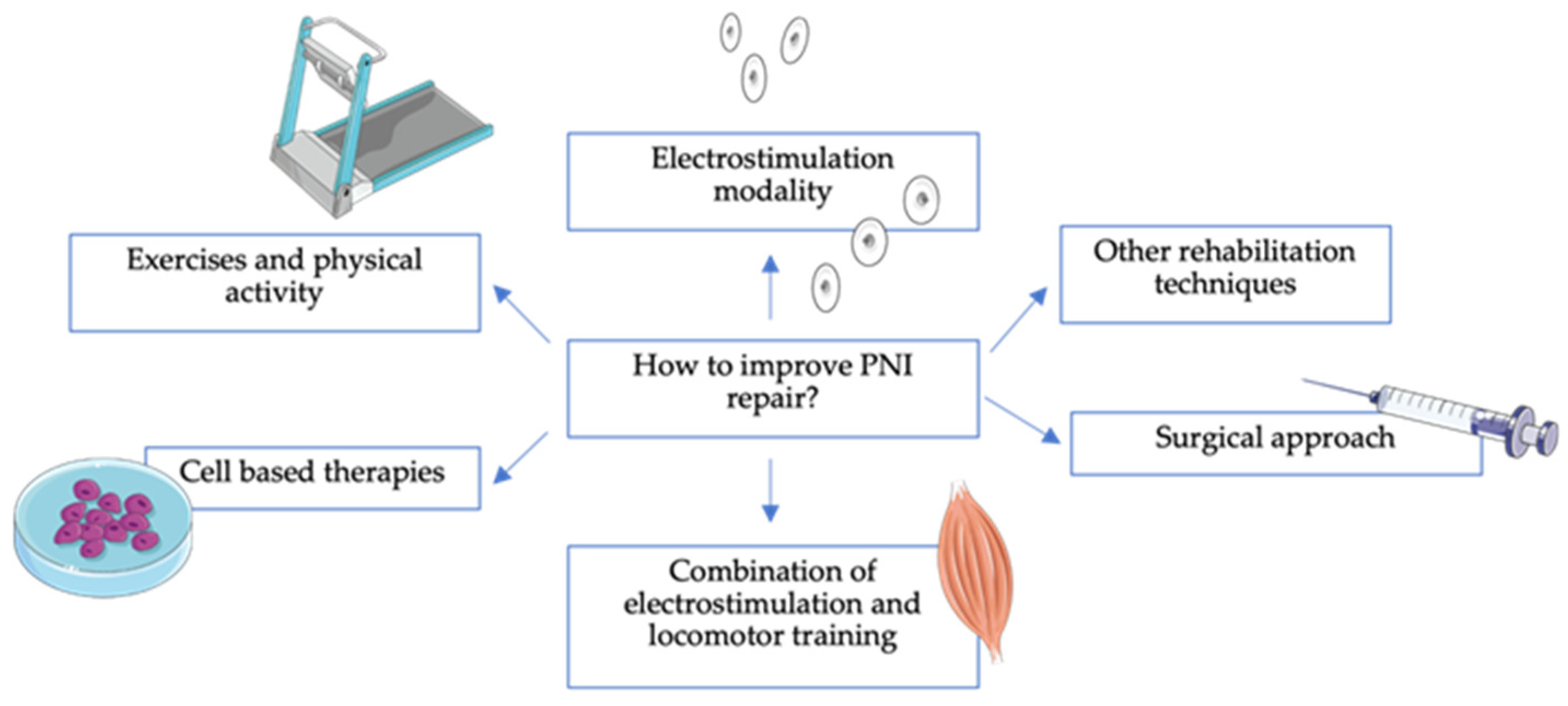 Animals 14 00884 g007 Animals 14 00884 g007