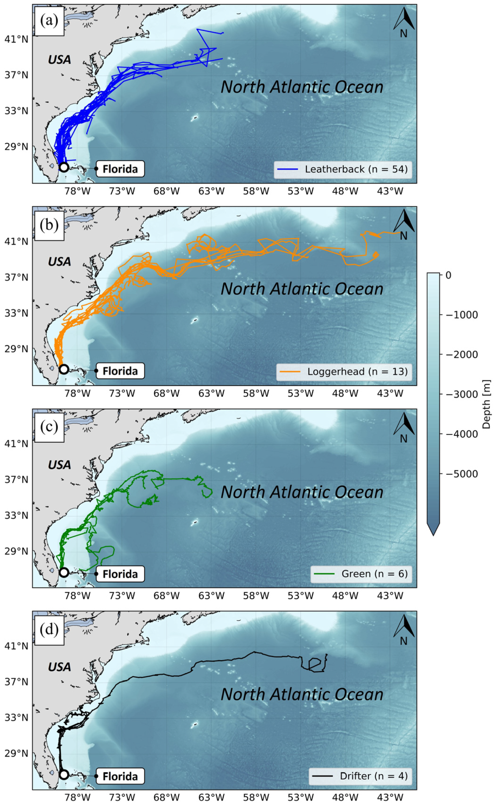 Animals 14 00903 g003