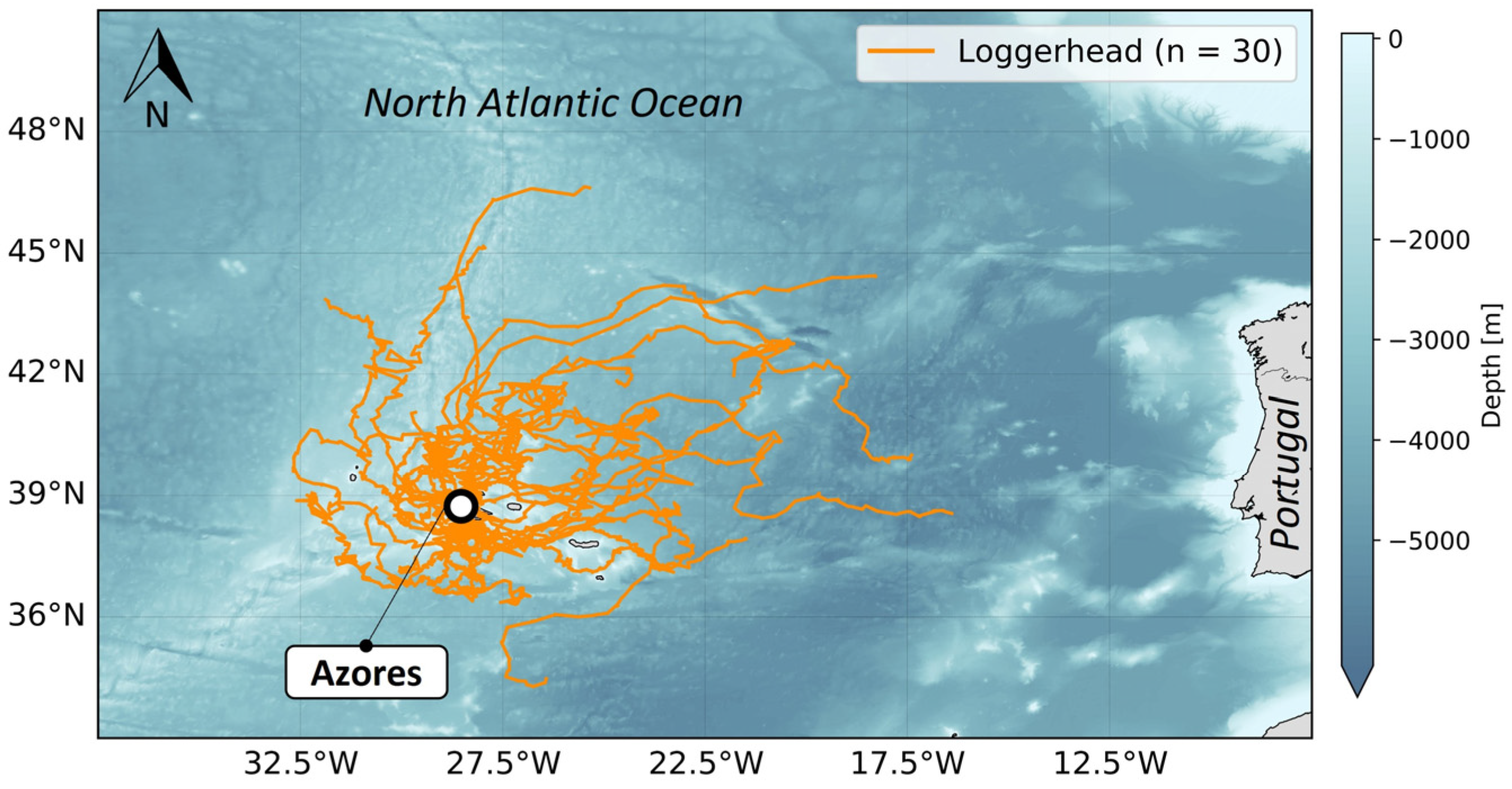 Animals 14 00903 g005