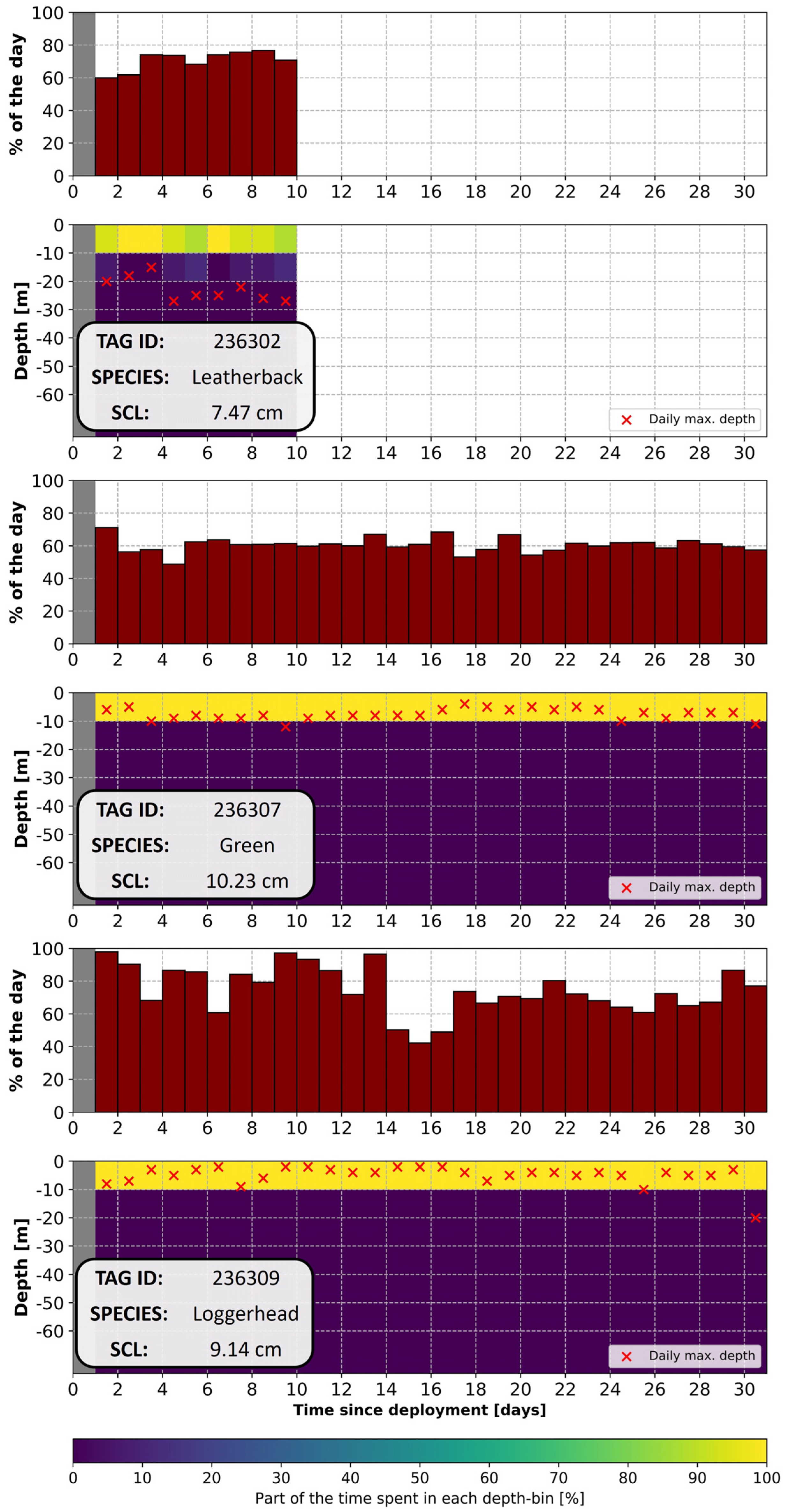 Animals 14 00903 g013