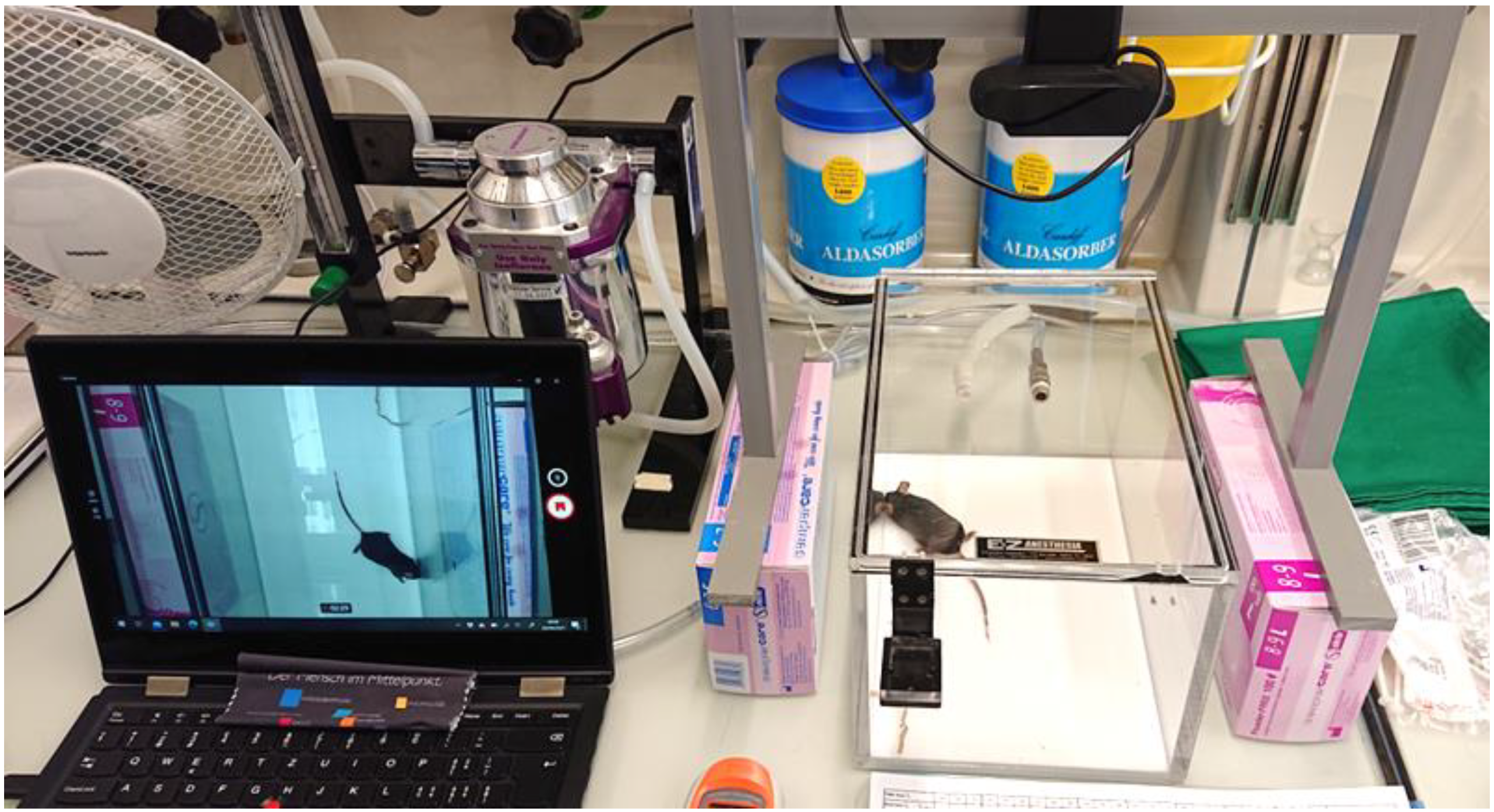 Animals 14 00913 g002