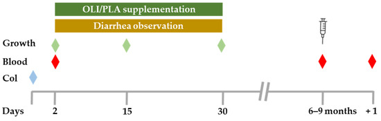 Animals Free Full Text Supplementation of Foals with a