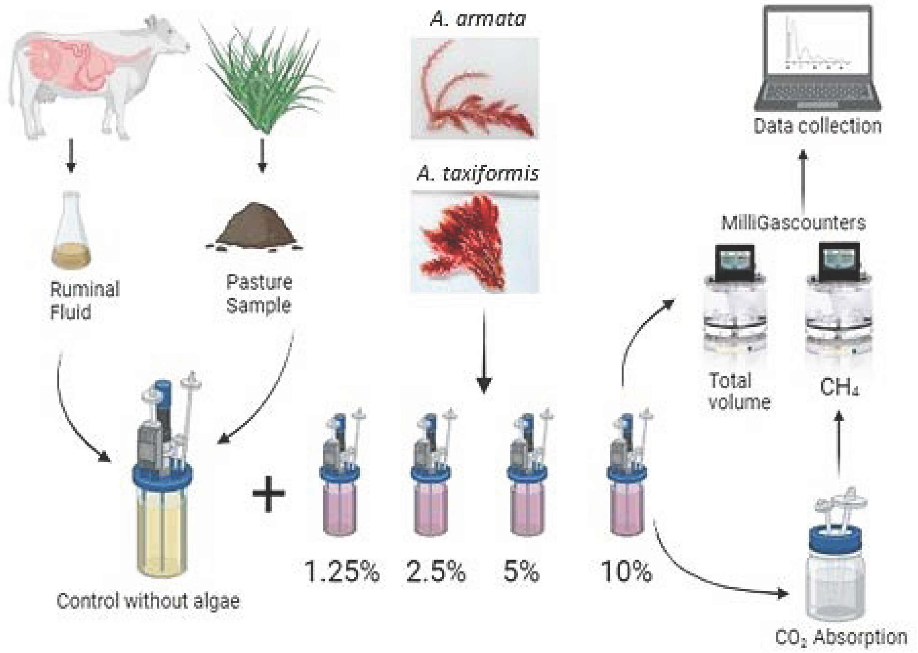 Animals 14 00967 g001 Animals 14 00967 g001