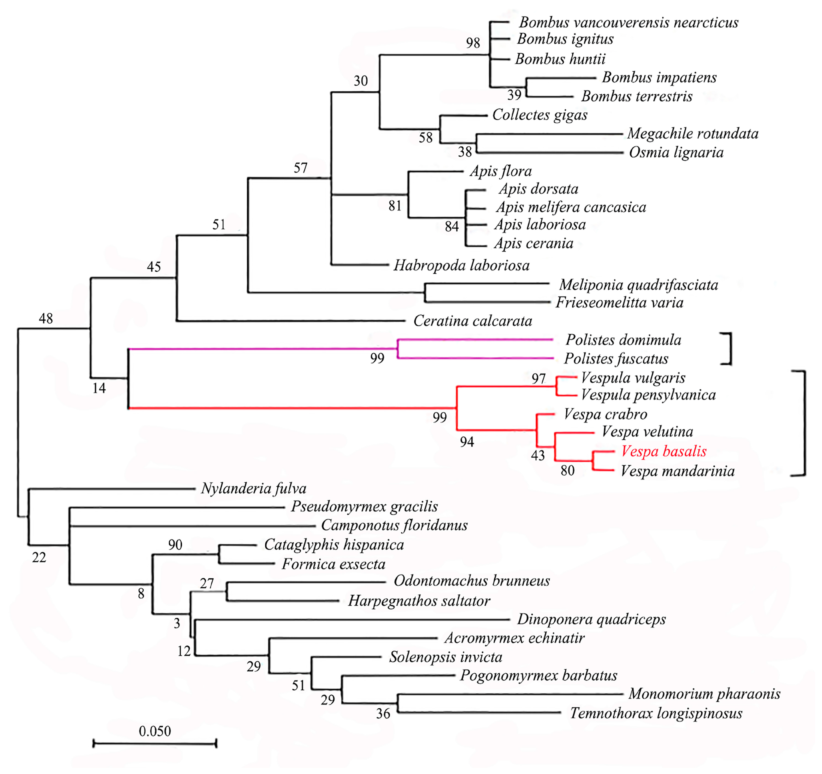 Animals 14 00978 g003
