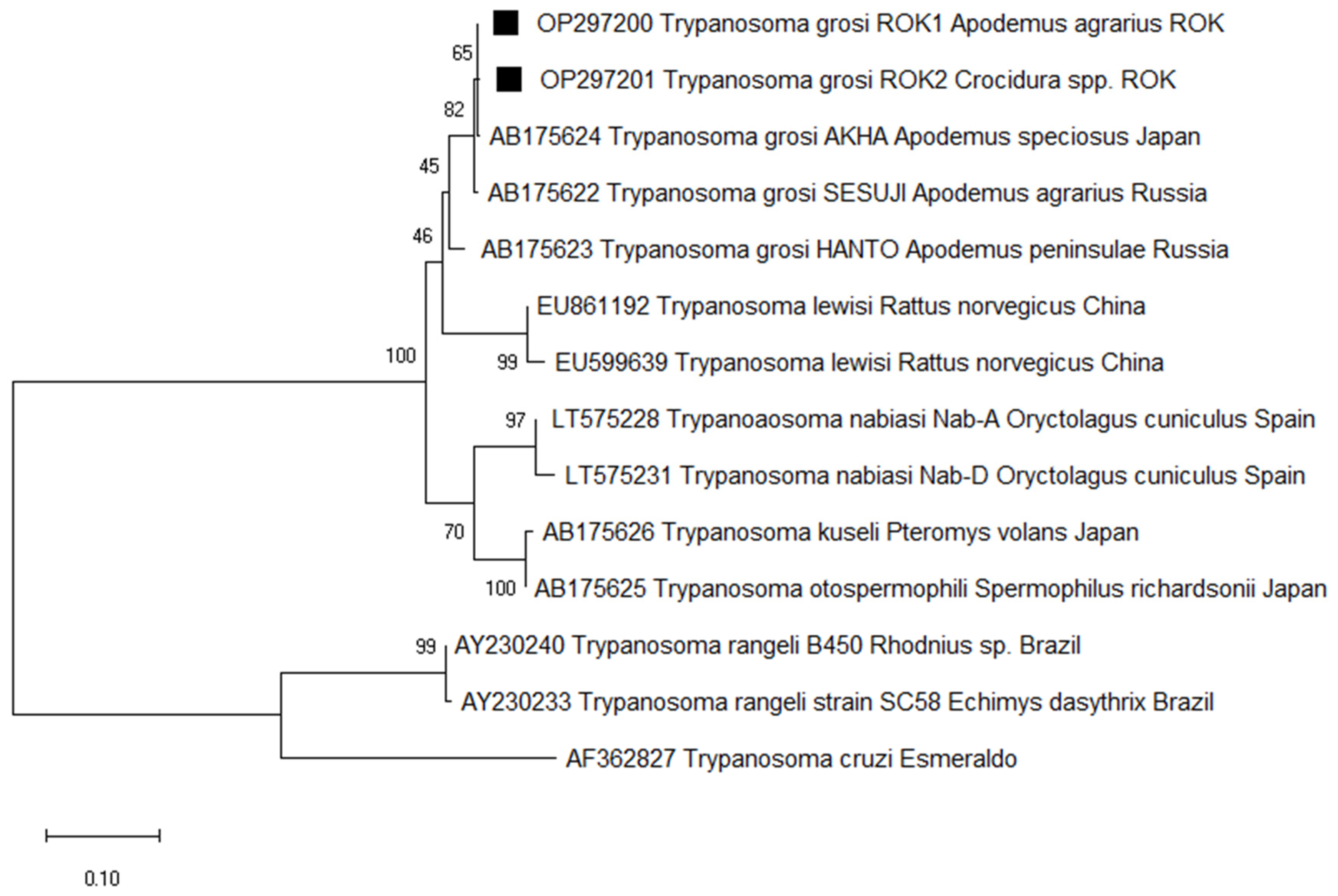 Animals 14 00989 g002