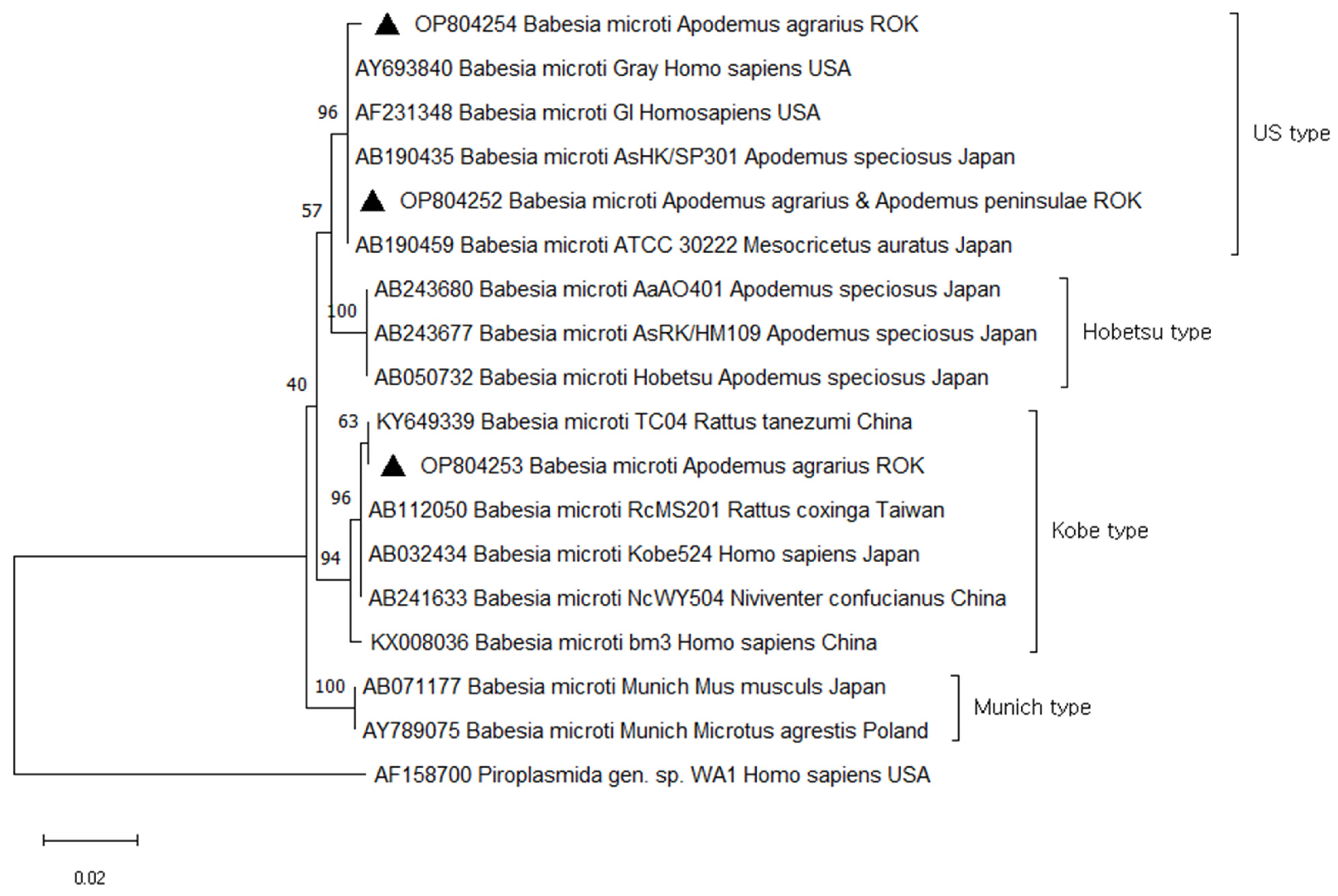 Animals 14 00989 g003