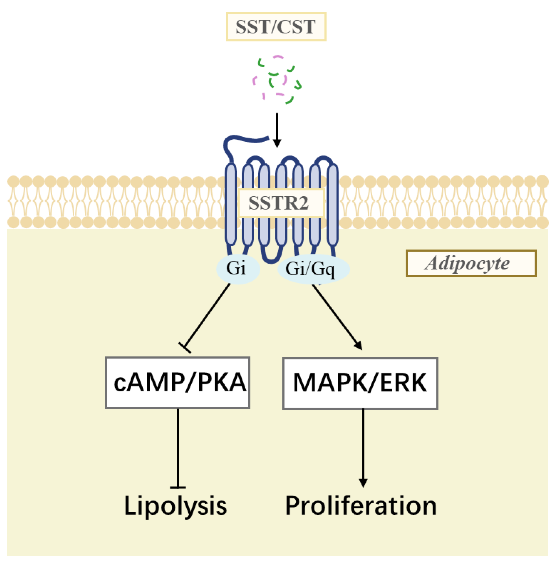 Animals 14 01034 g007