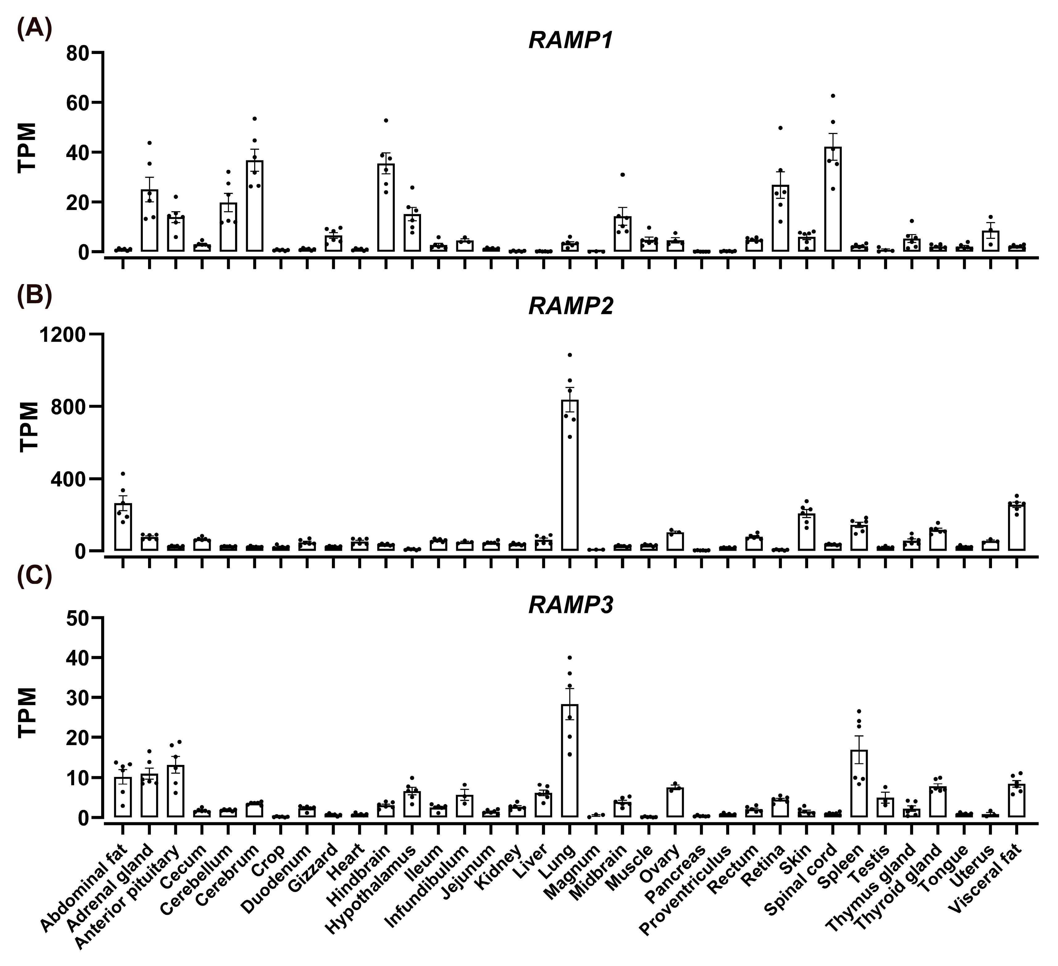 Animals 14 01058 g007