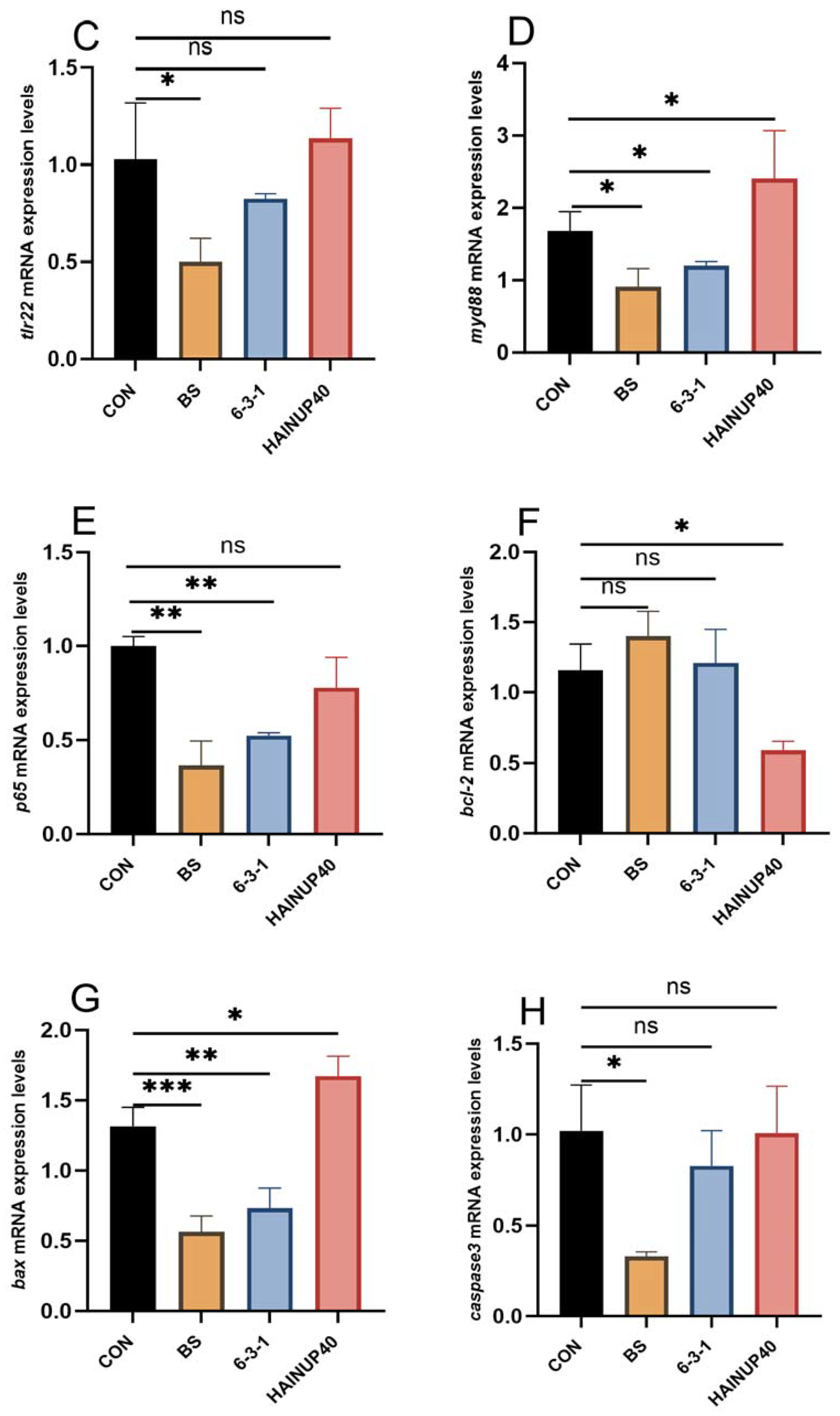 Animals 14 01062 g003b