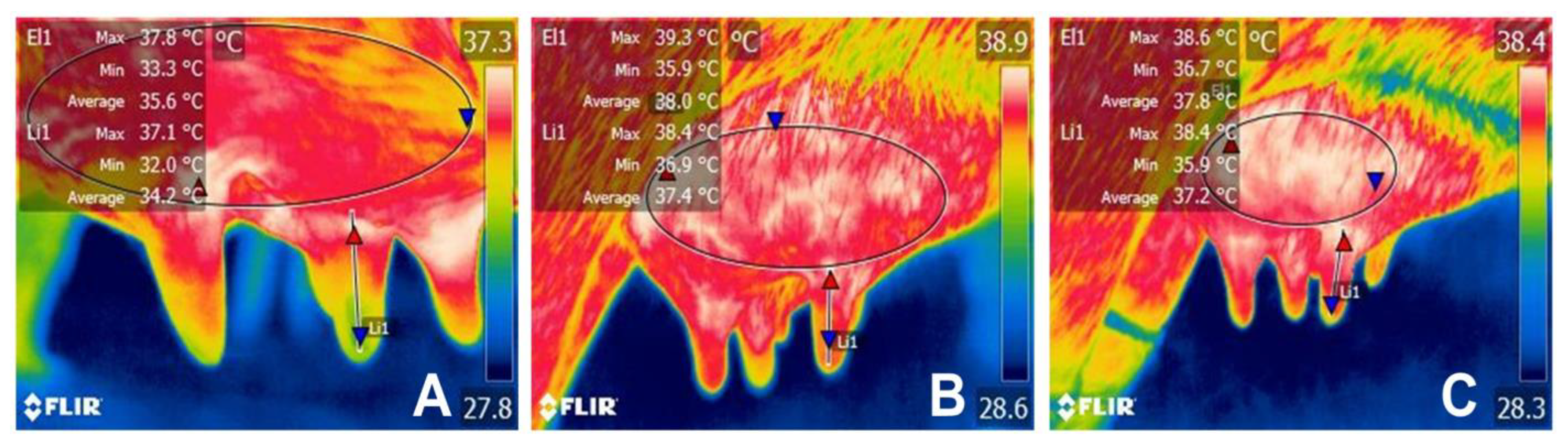 Animals 14 01066 g006 Animals 14 01066 g006