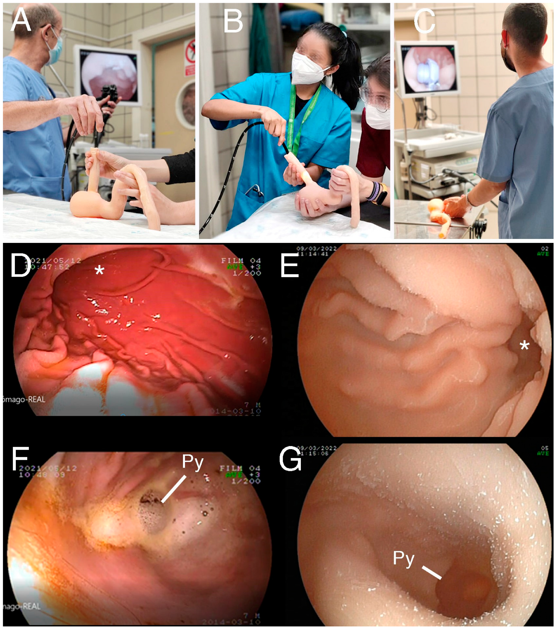 Animals 14 01070 g003