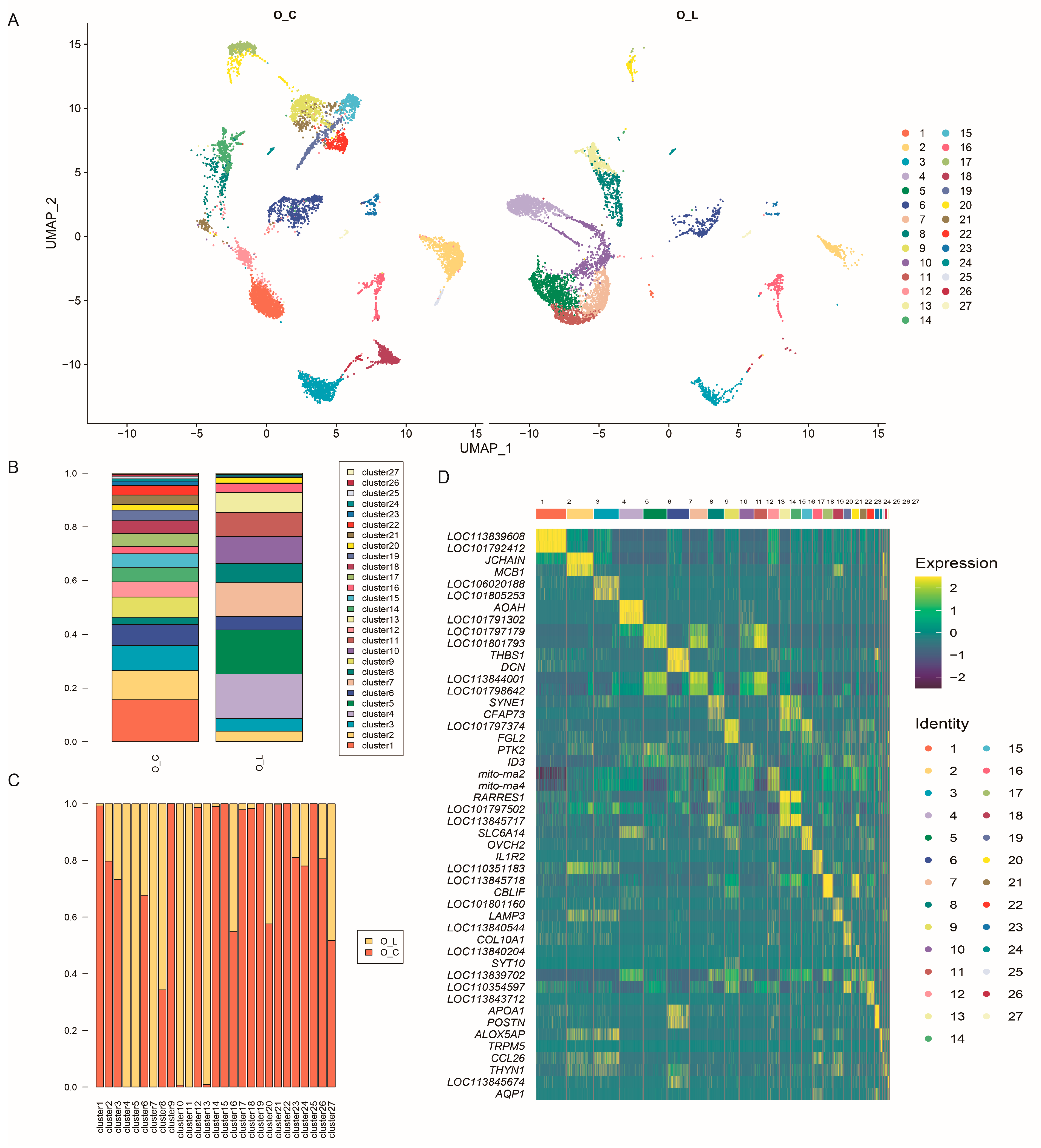 Animals Free Full Text Cell Heterogeneity Analysis Revealed