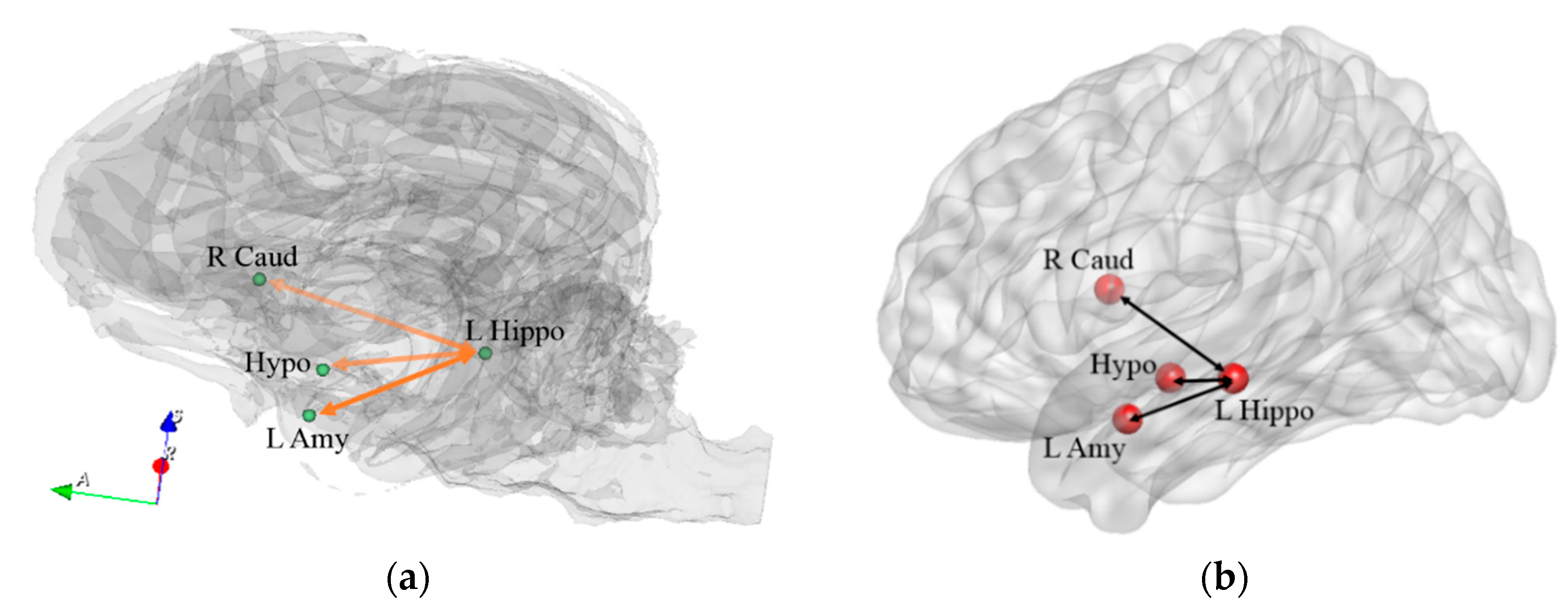 Animals 14 01082 g011 Animals 14 01082 g011