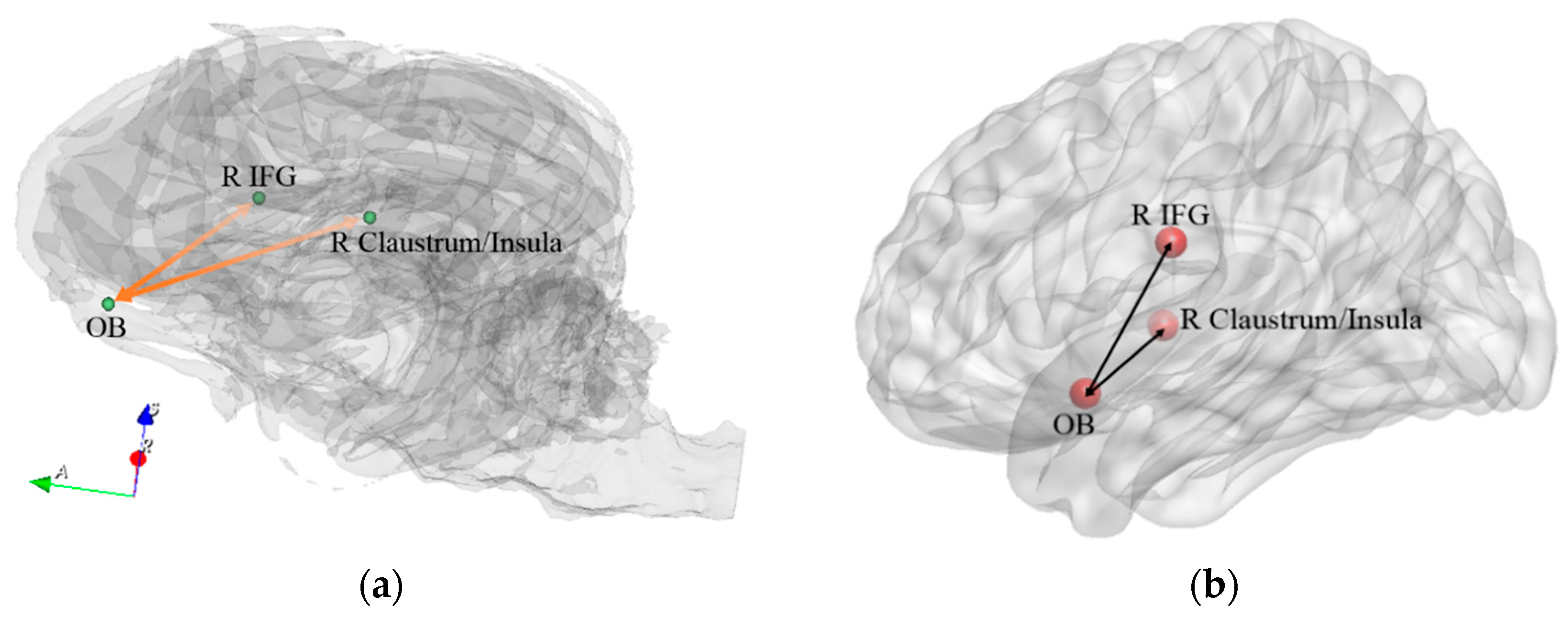 Animals 14 01082 g012 Animals 14 01082 g012