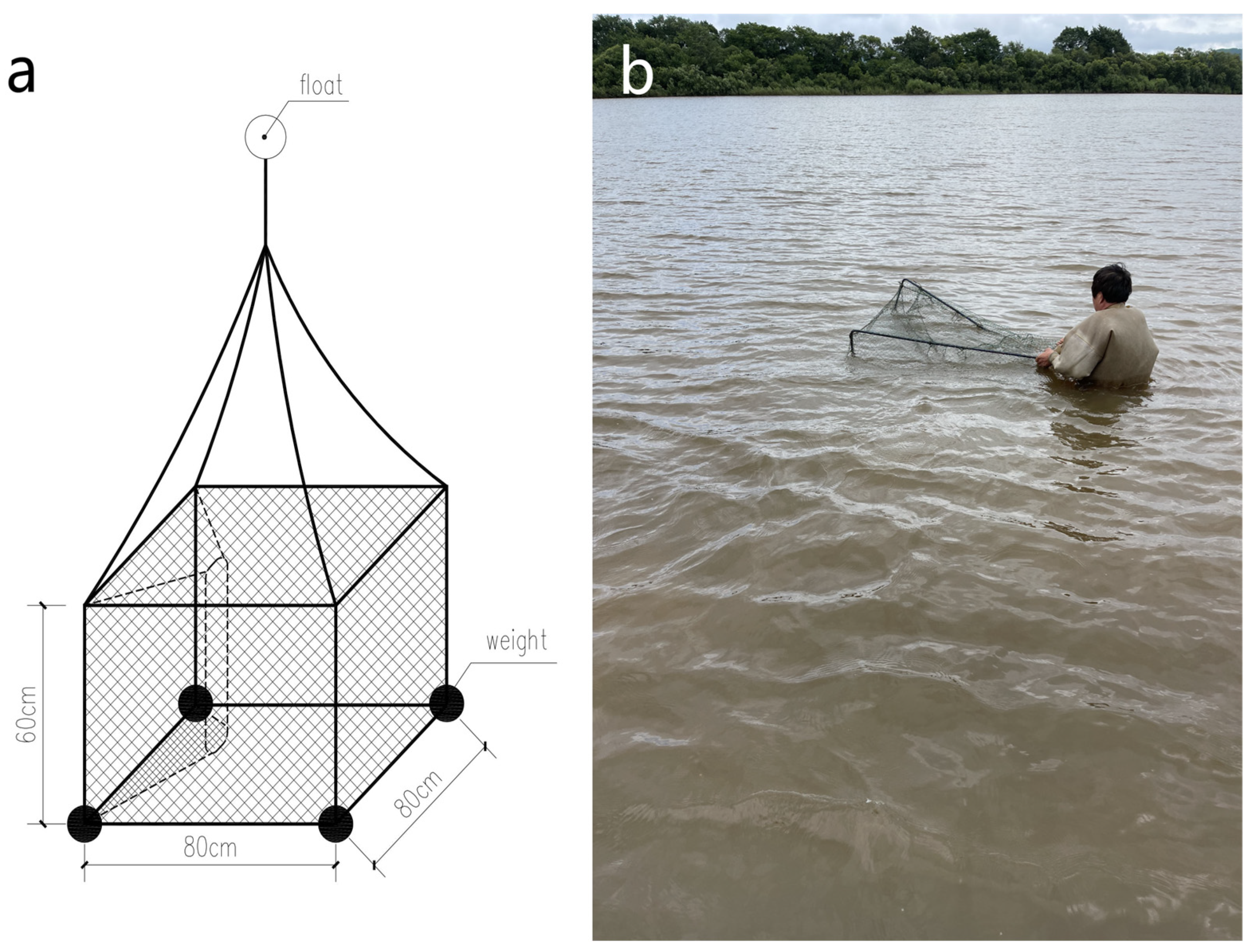 Animals 14 01088 g002