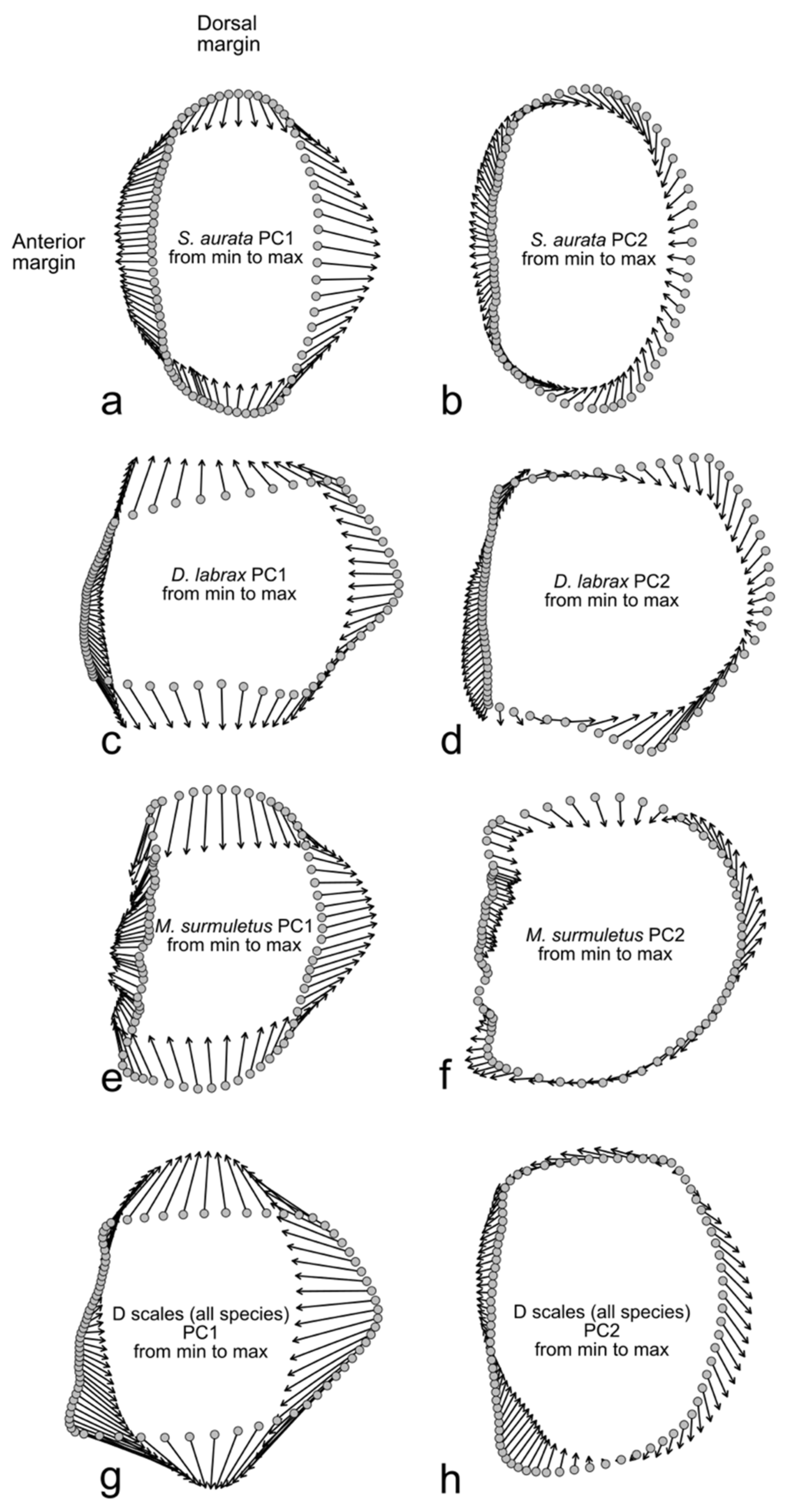 Animals 14 01090 g005