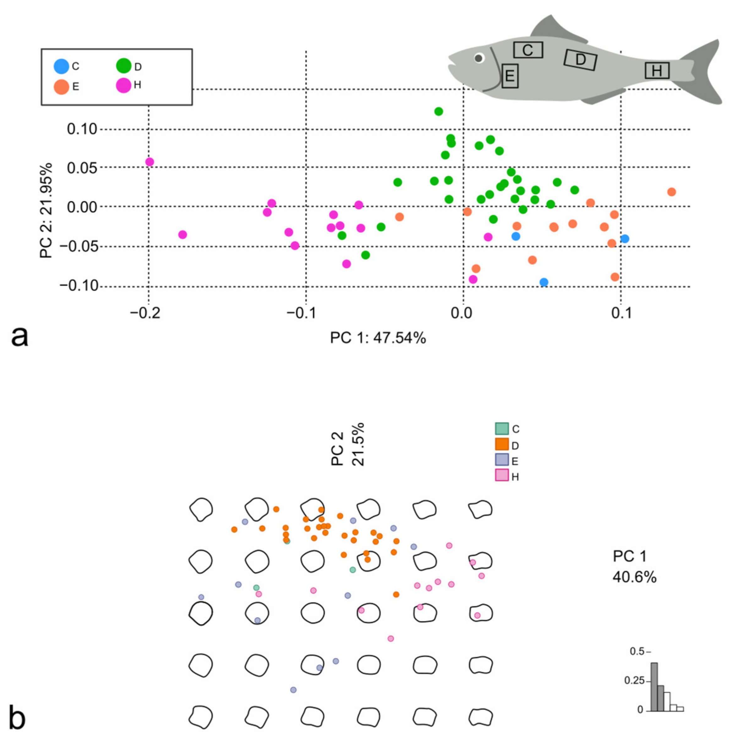 Animals 14 01090 g007