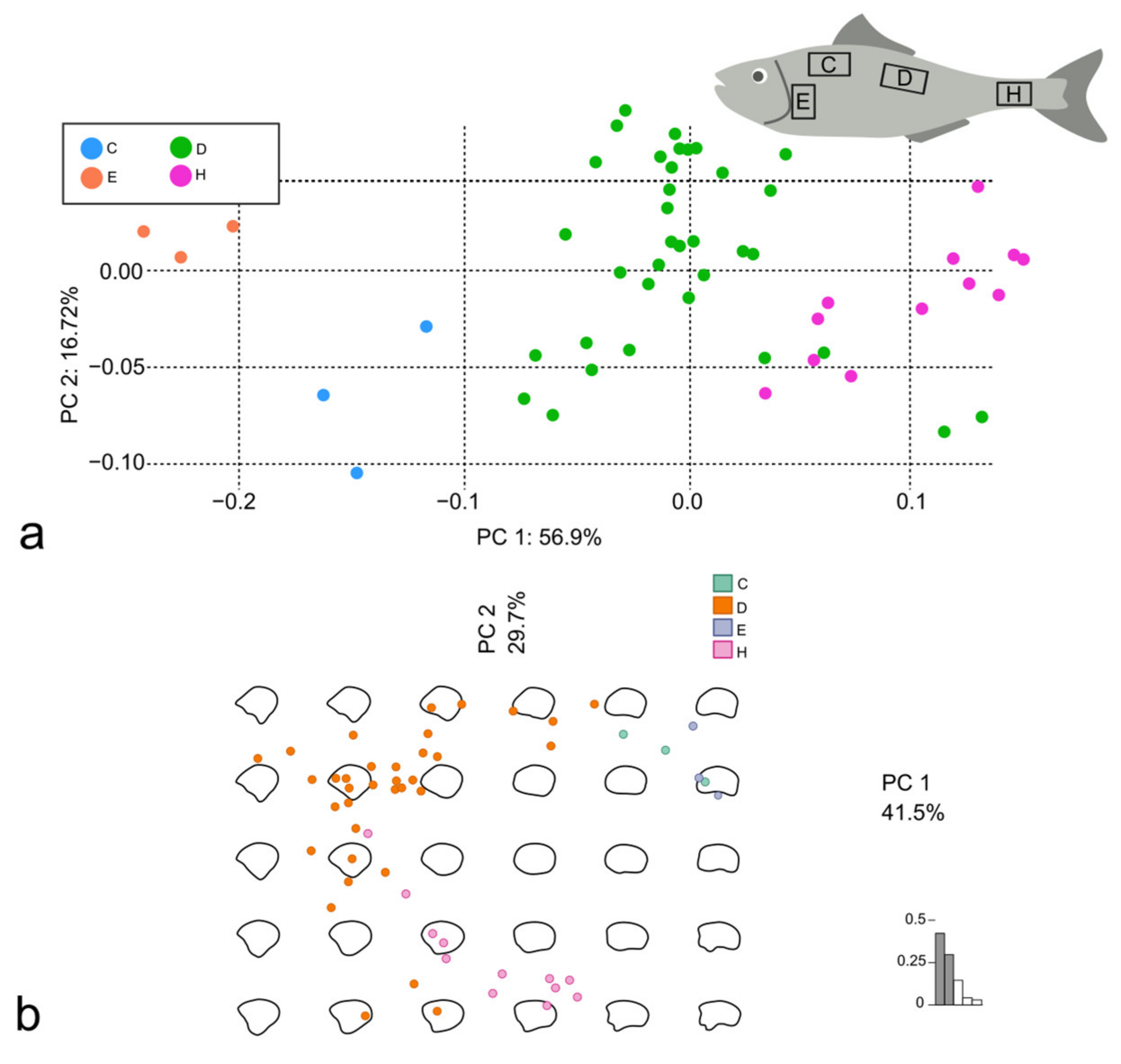 Animals 14 01090 g008