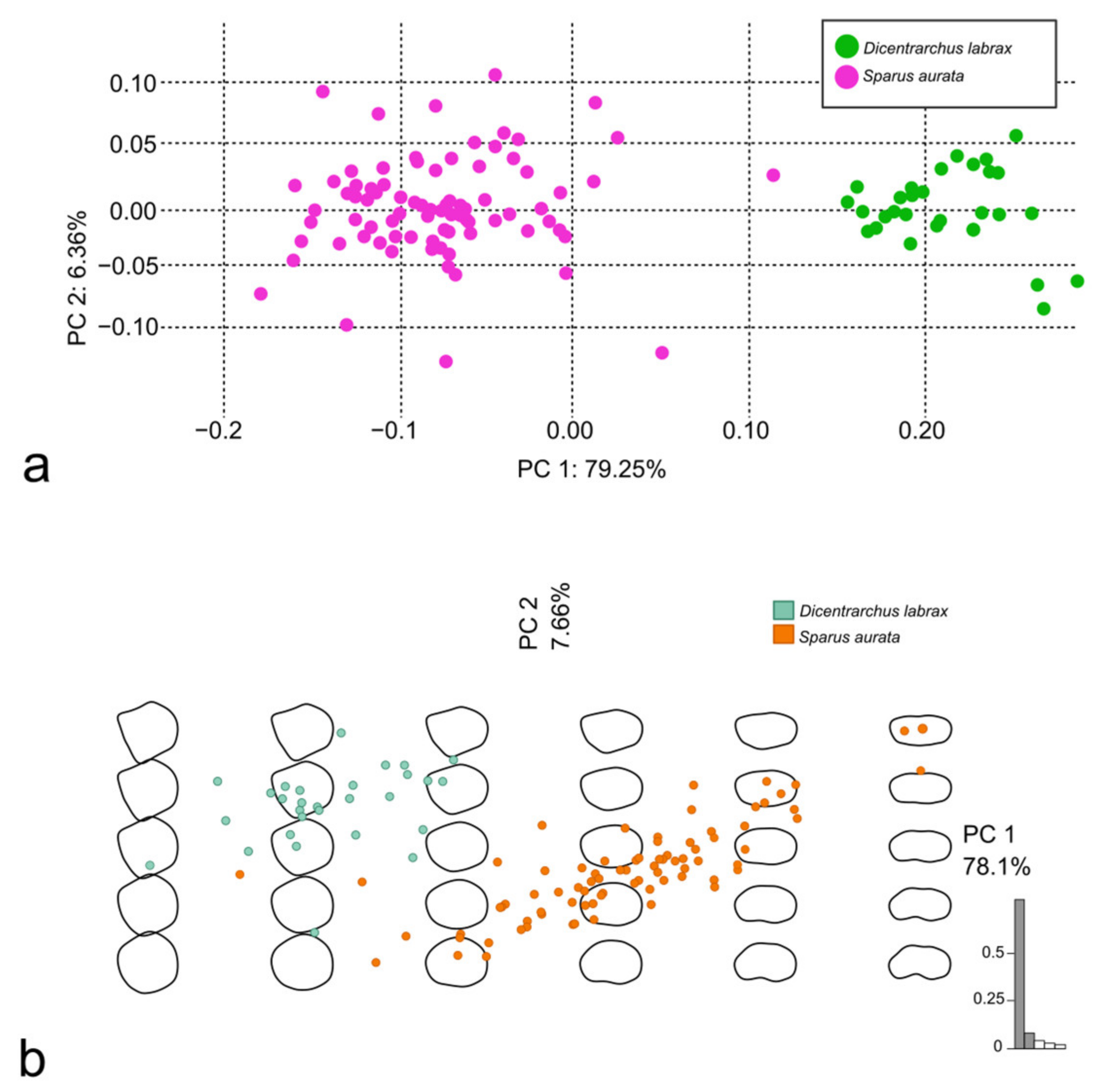 Animals 14 01090 g010