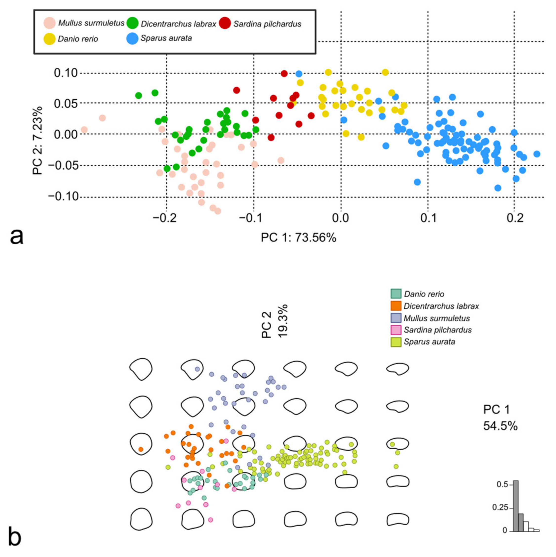 Animals 14 01090 g011