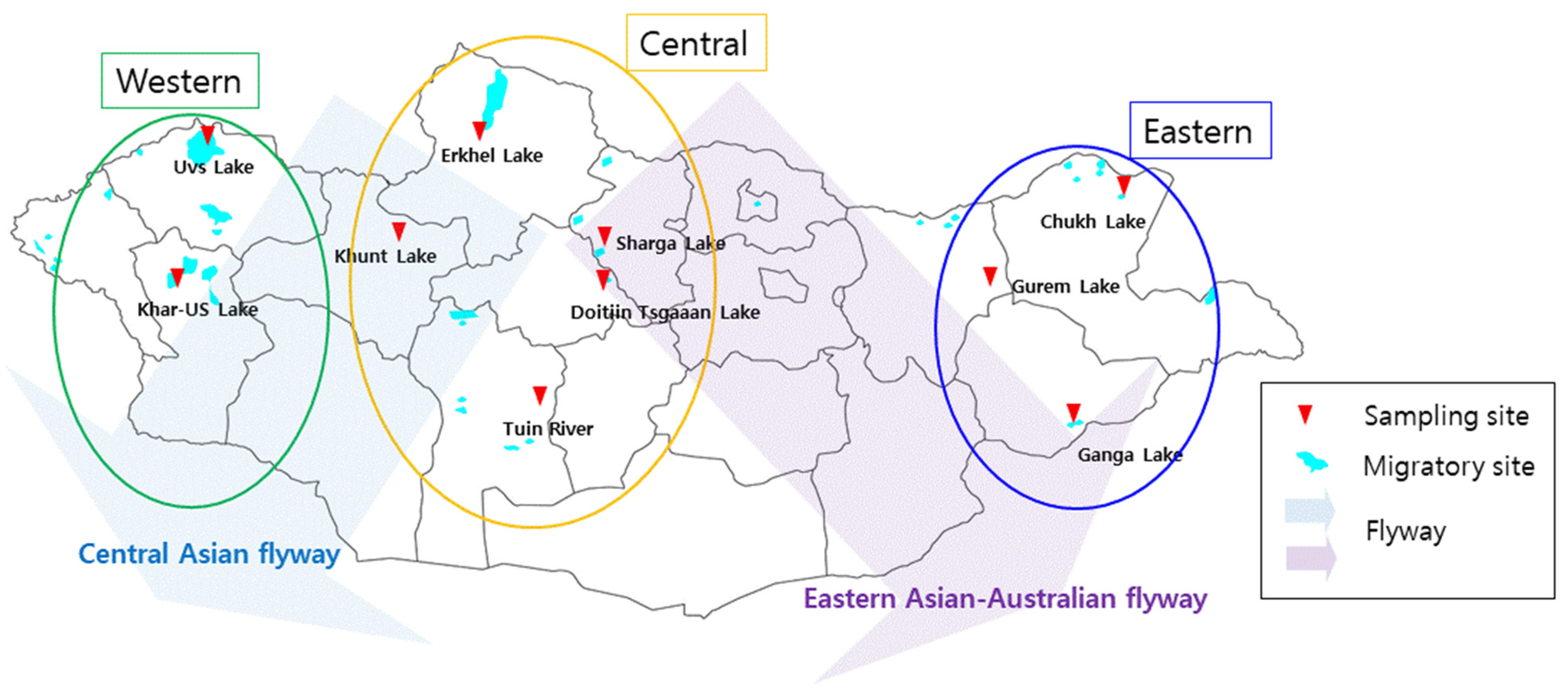 Animals 14 01105 g001