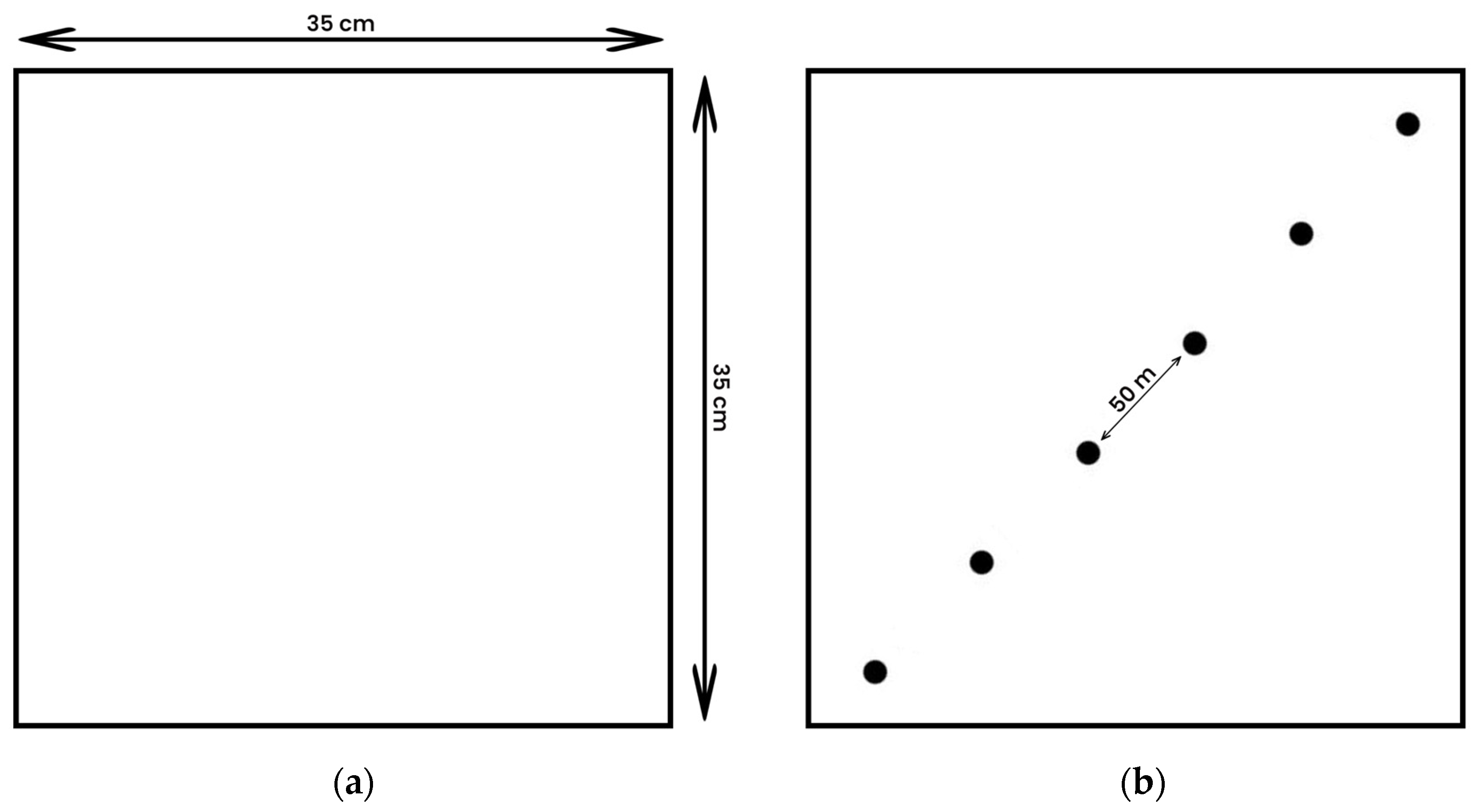 Animals 14 01125 g002