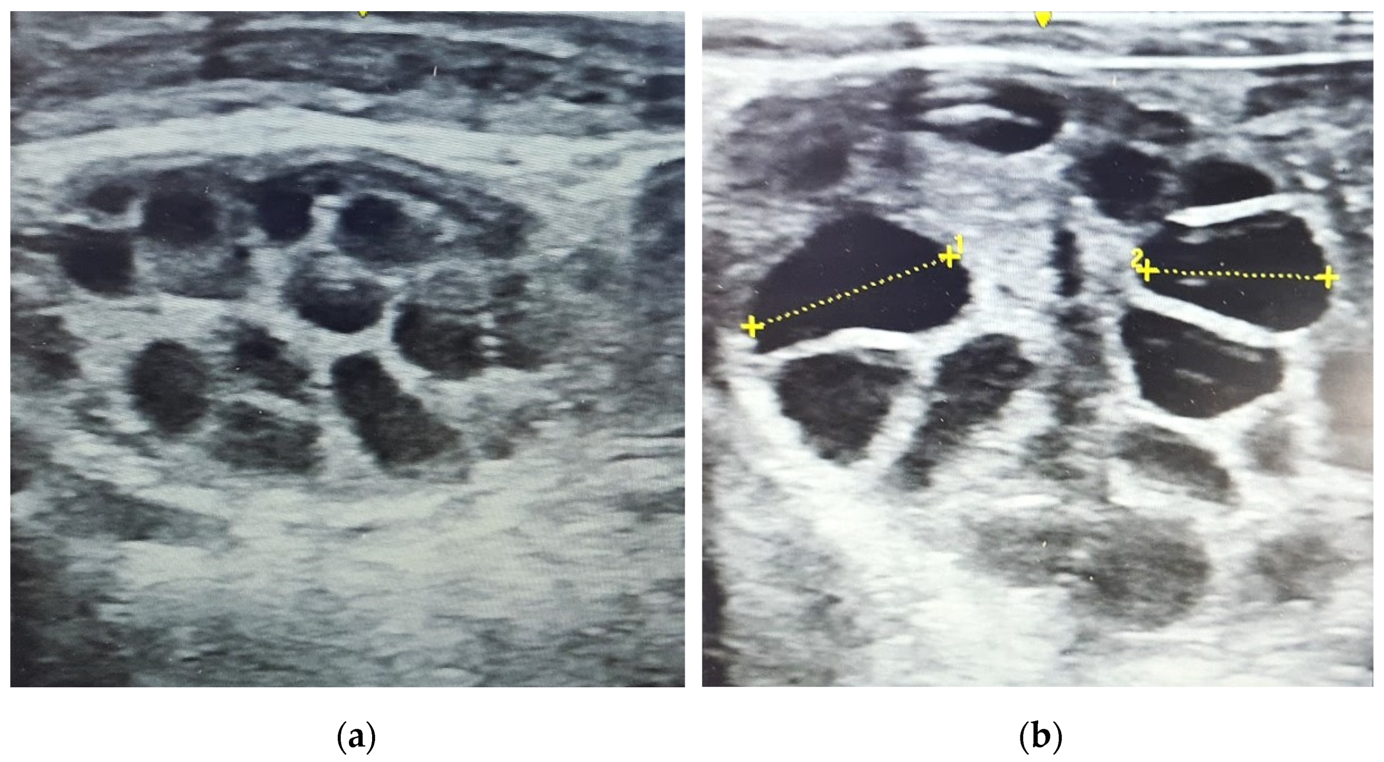 Animals 14 01125 g005