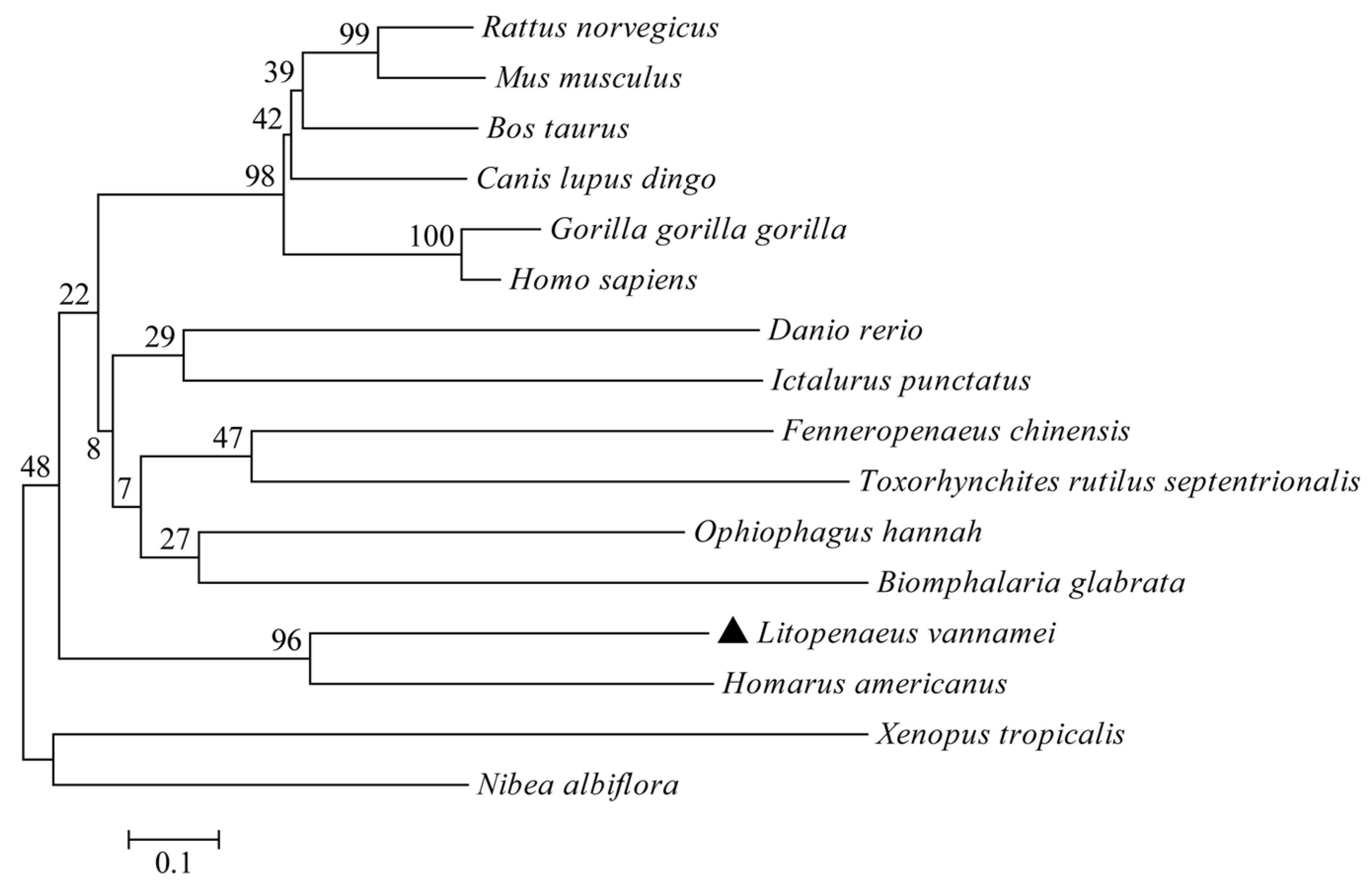 Animals 14 01137 g003