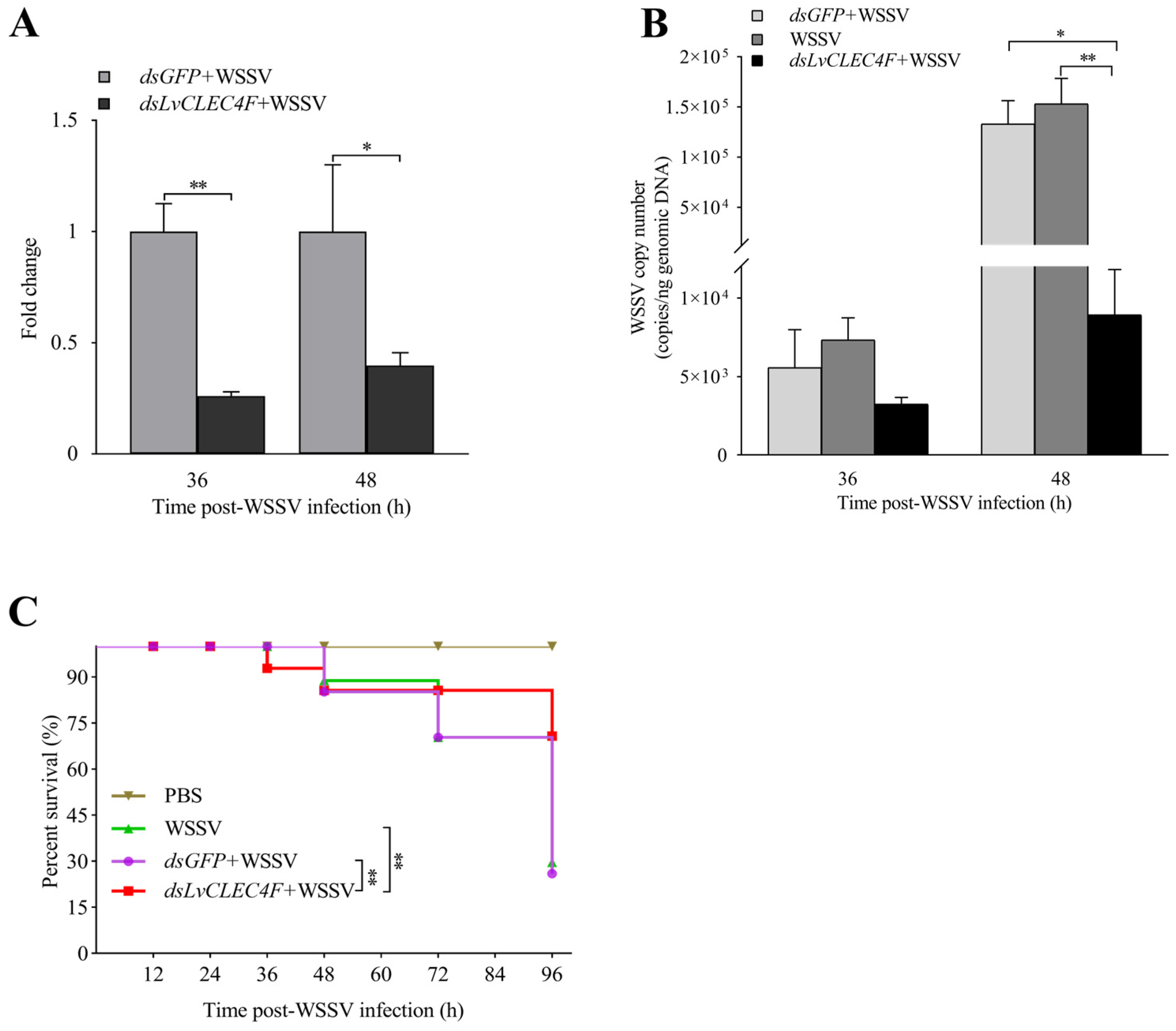 Animals 14 01137 g006