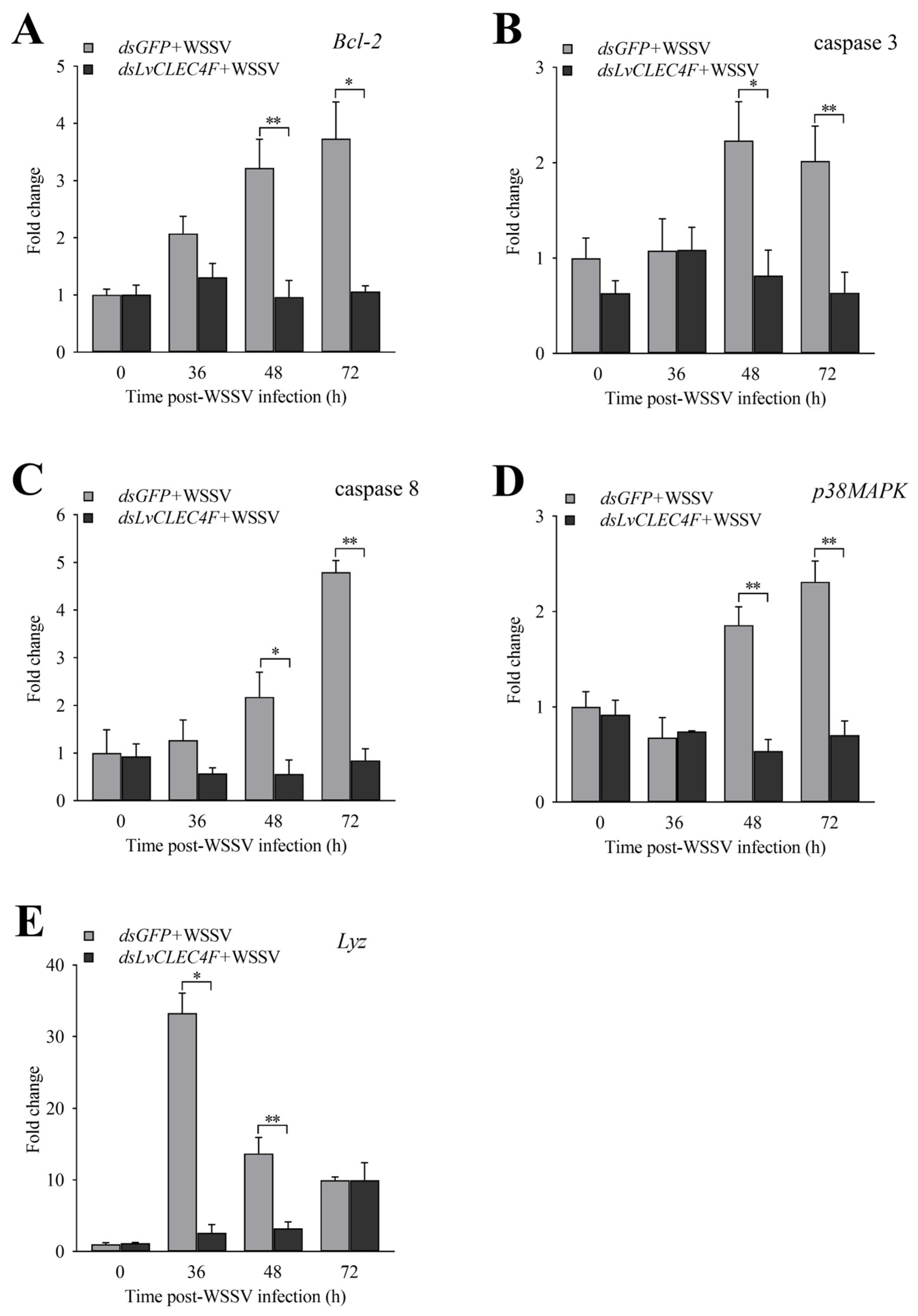 Animals 14 01137 g008