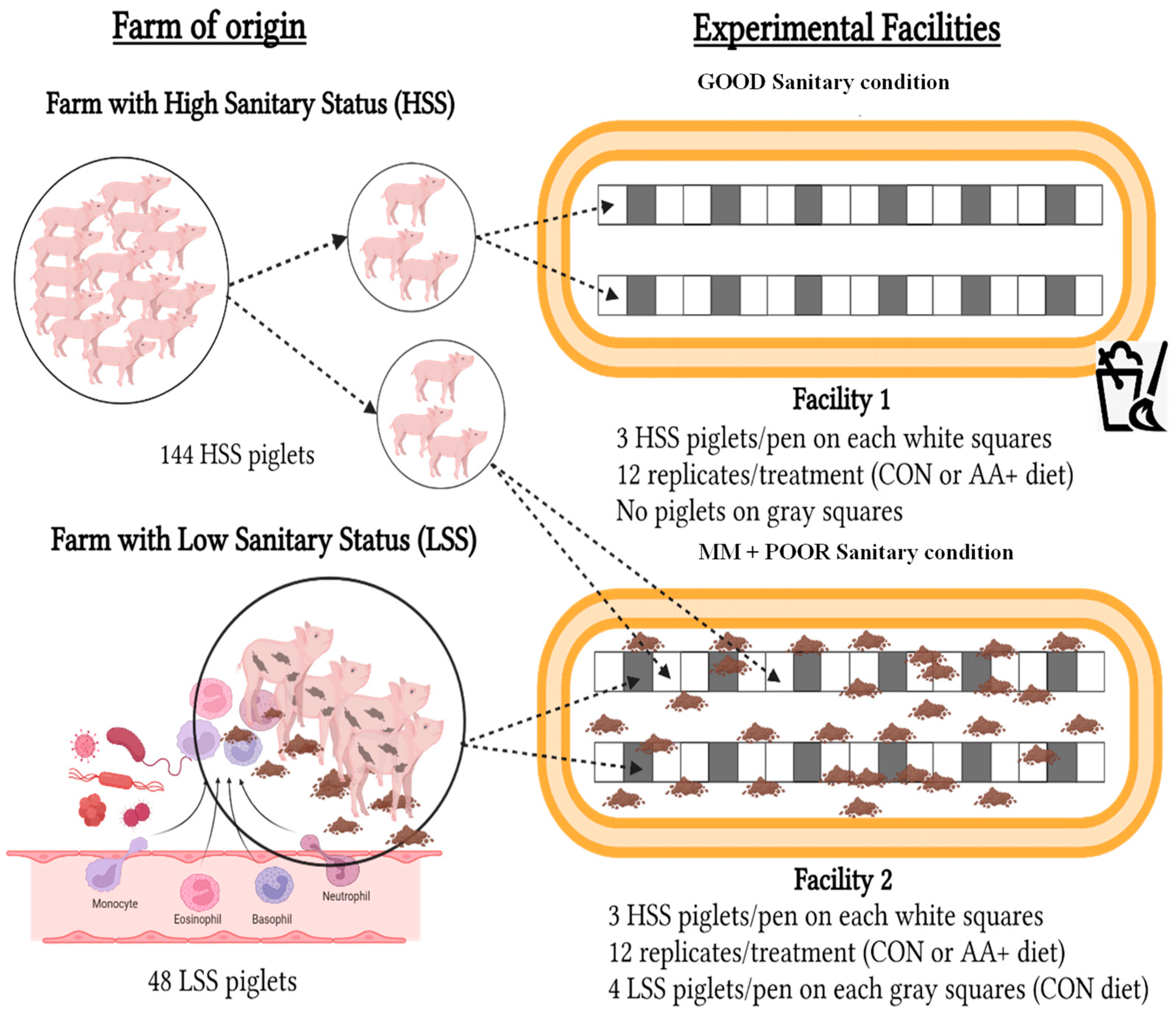 Animals 14 01143 g001