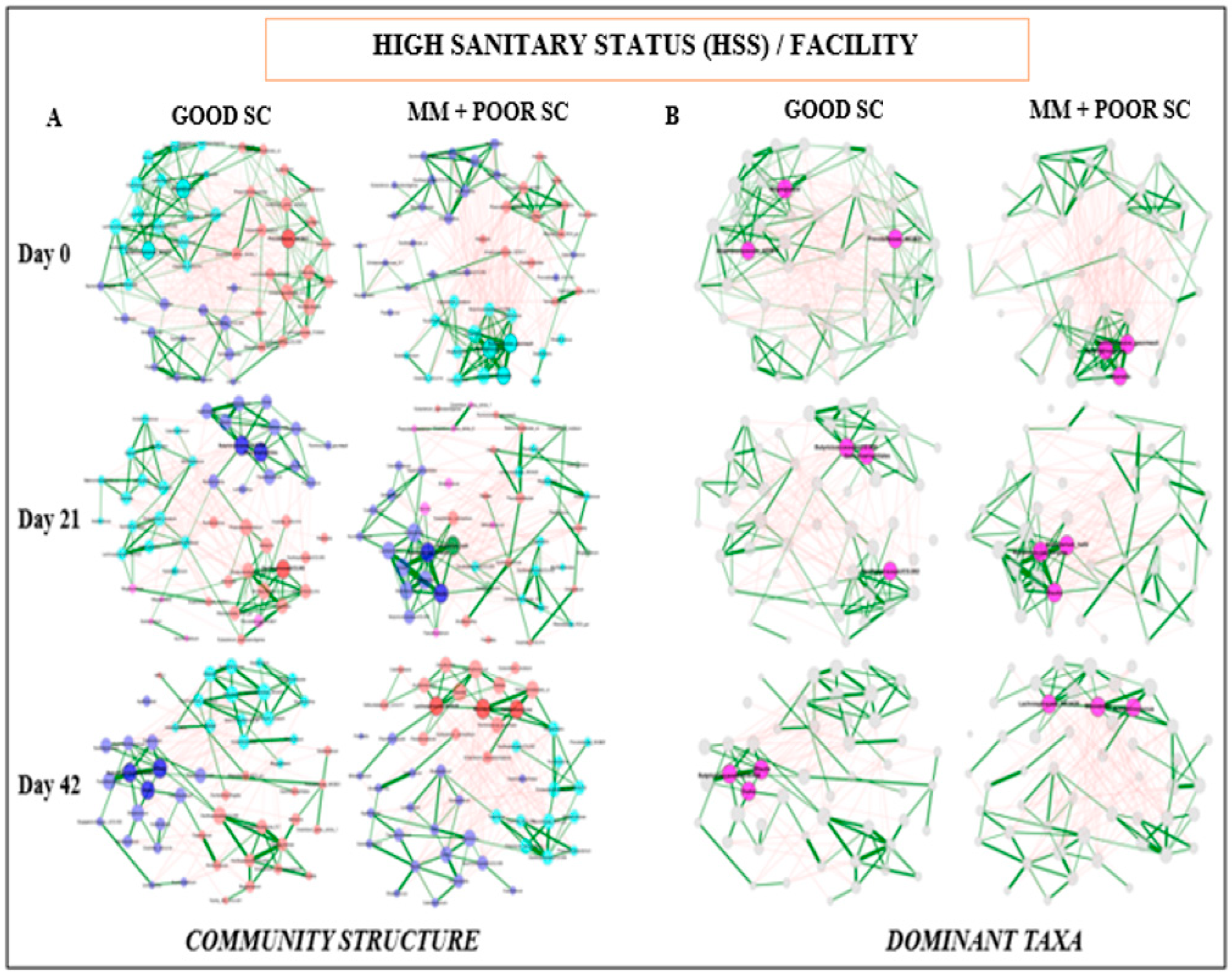 Animals 14 01143 g004