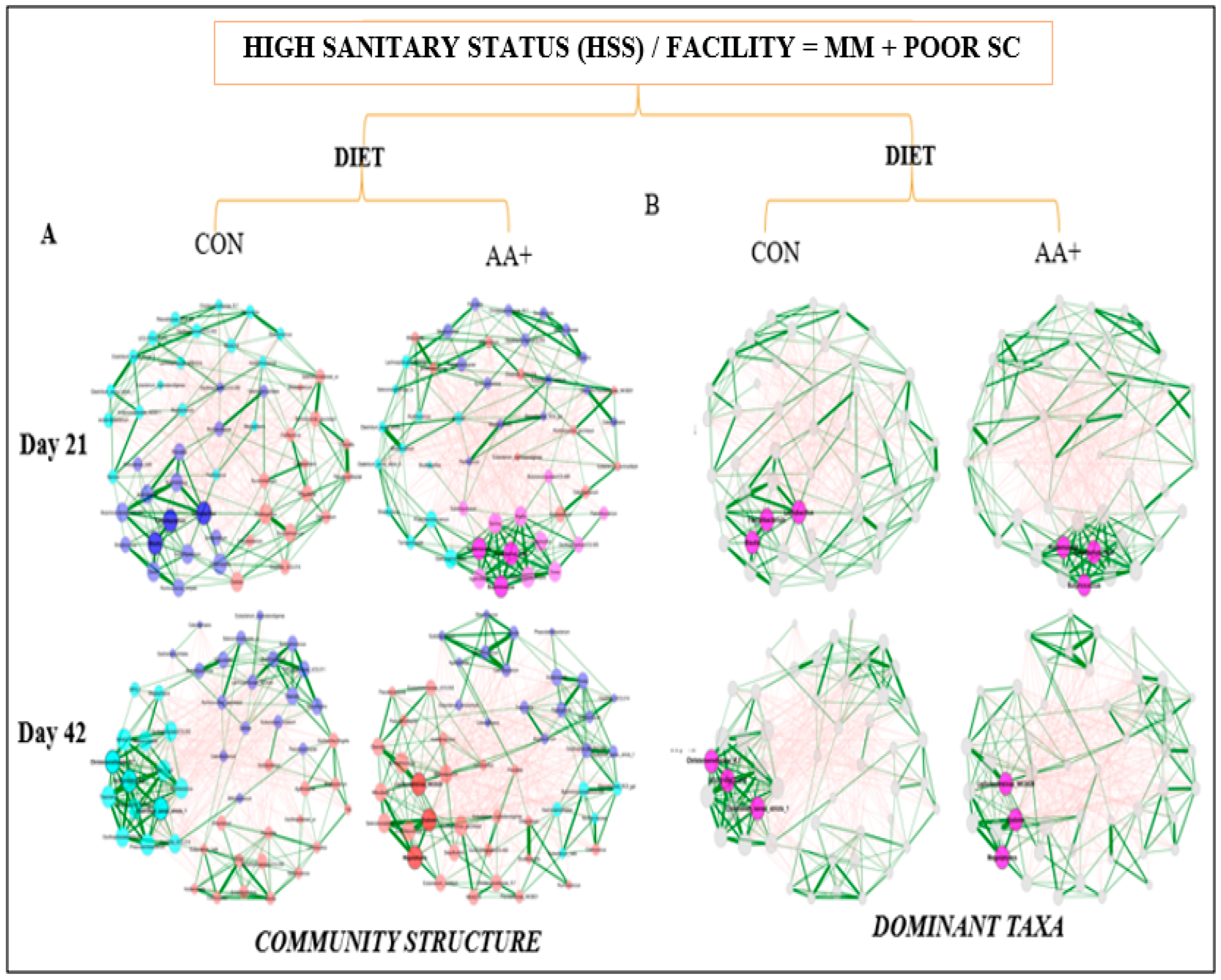 Animals 14 01143 g006