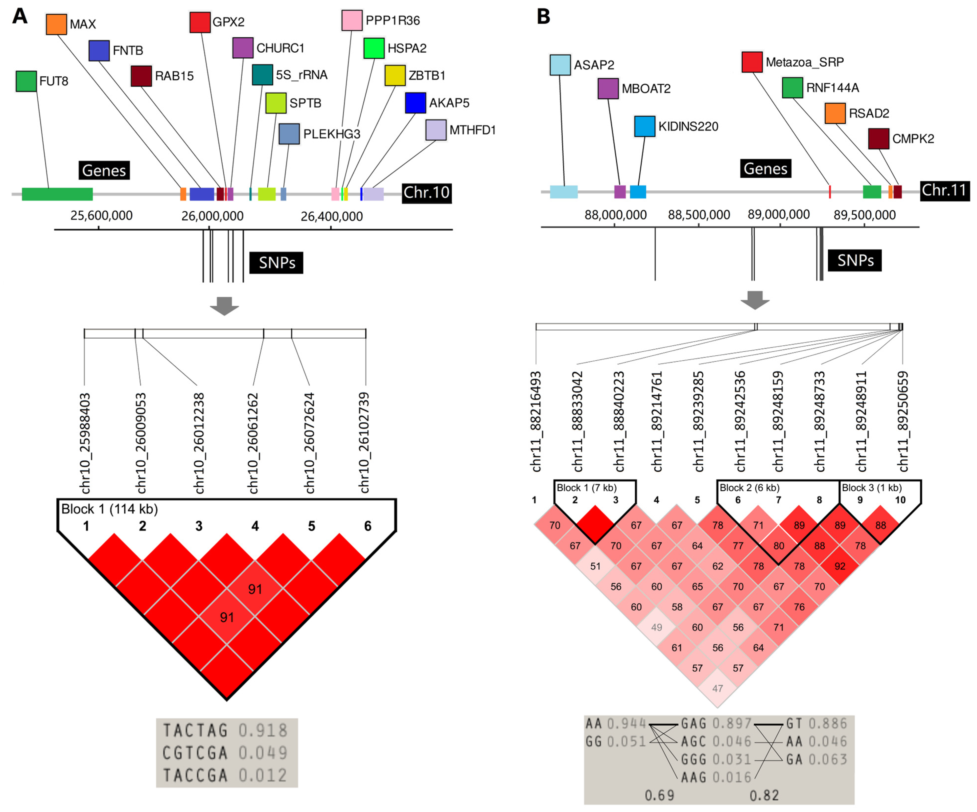 Animals 14 01145 g006